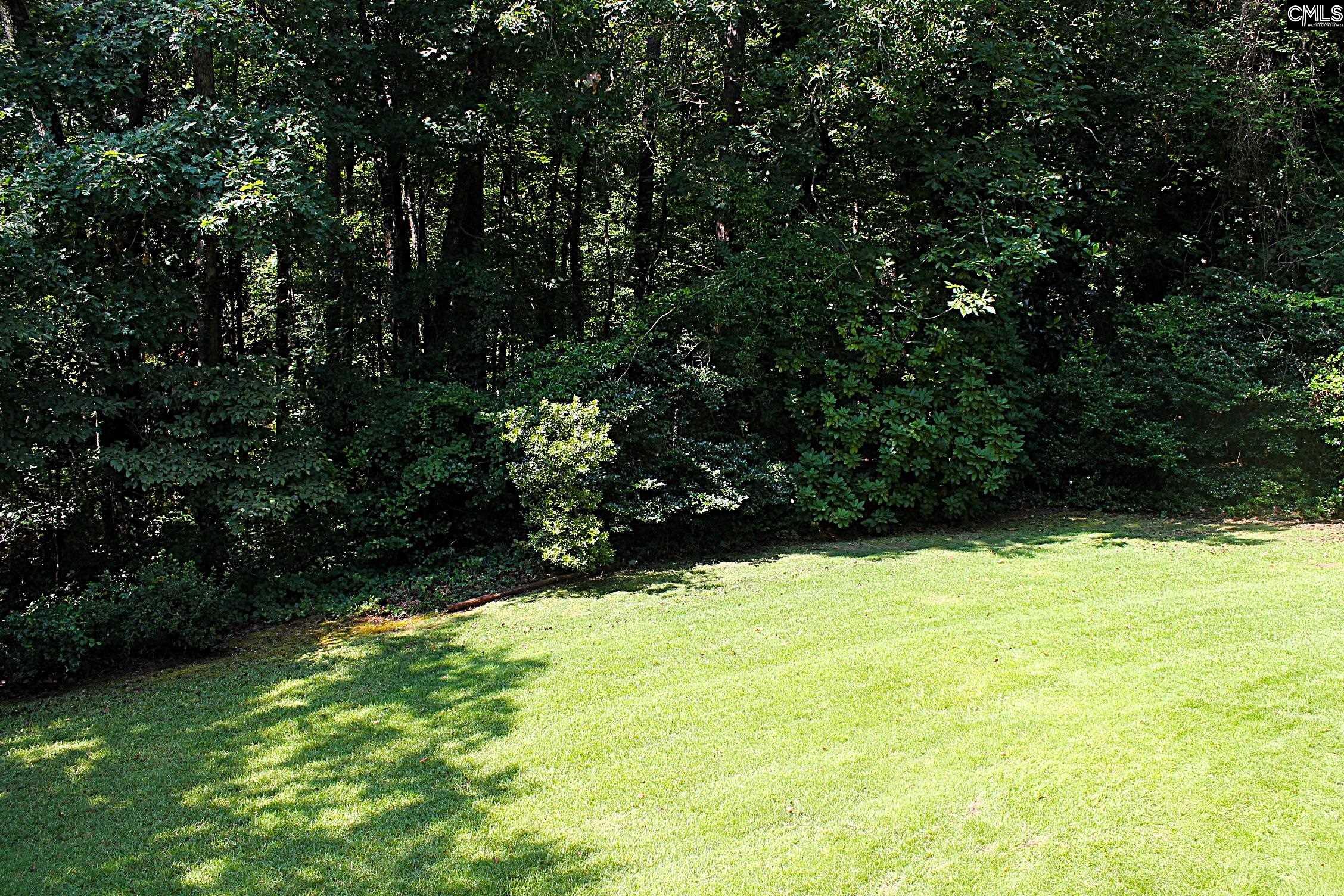 155 Pinewood Drive Chapin, SC 29036