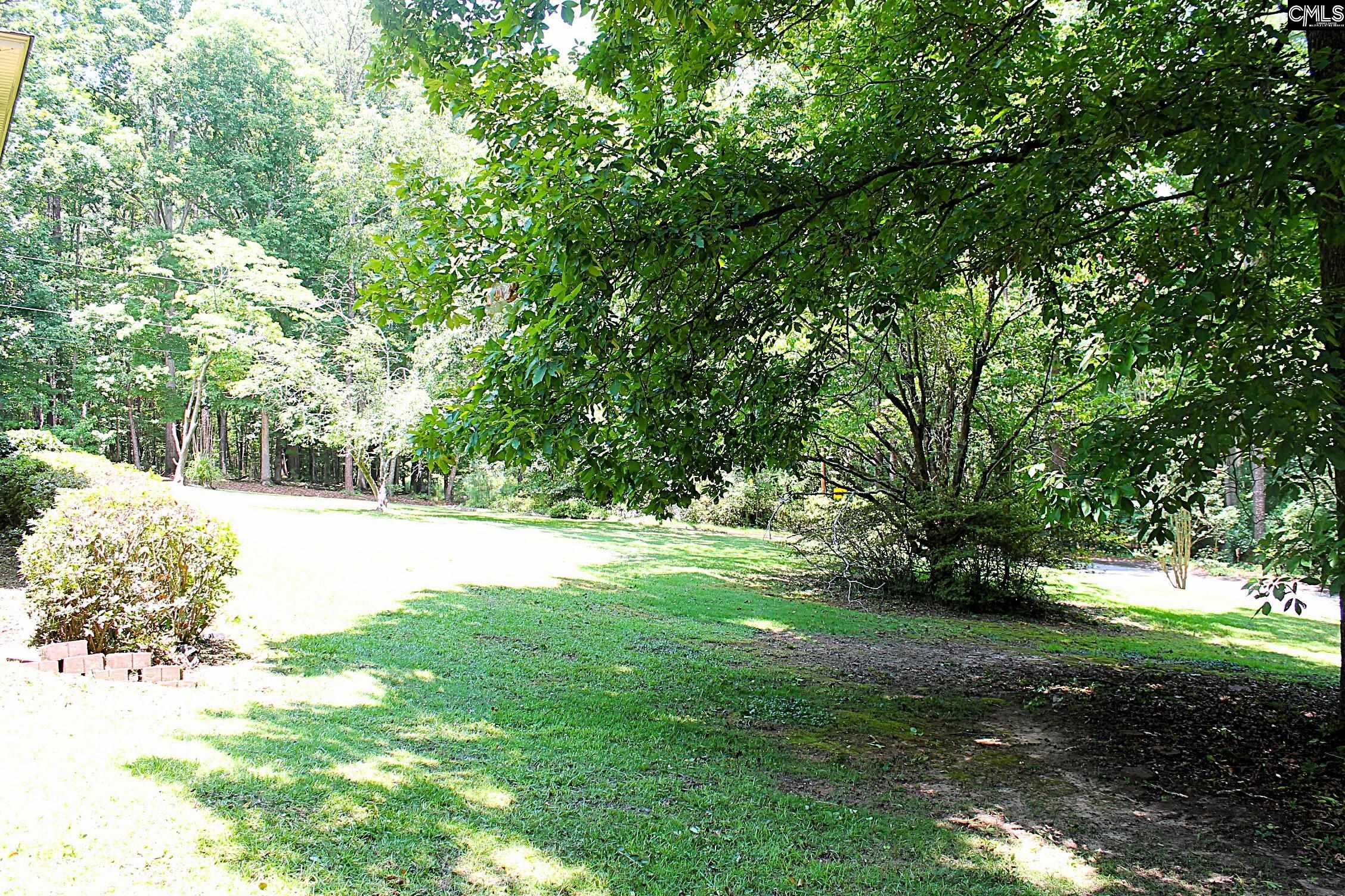 155 Pinewood Drive Chapin, SC 29036