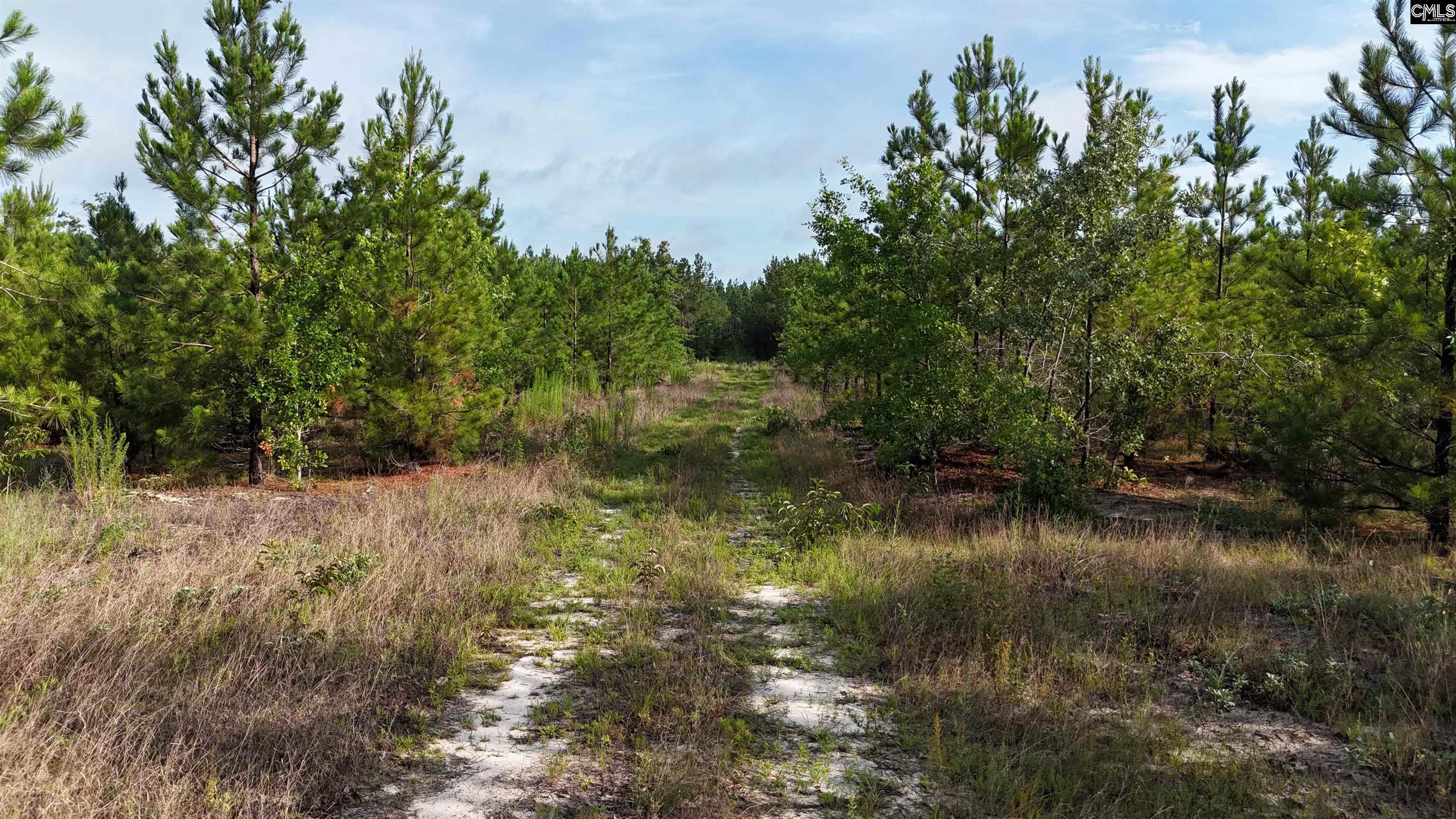 3091 Arcadia Road Bethune, SC 29009-0000