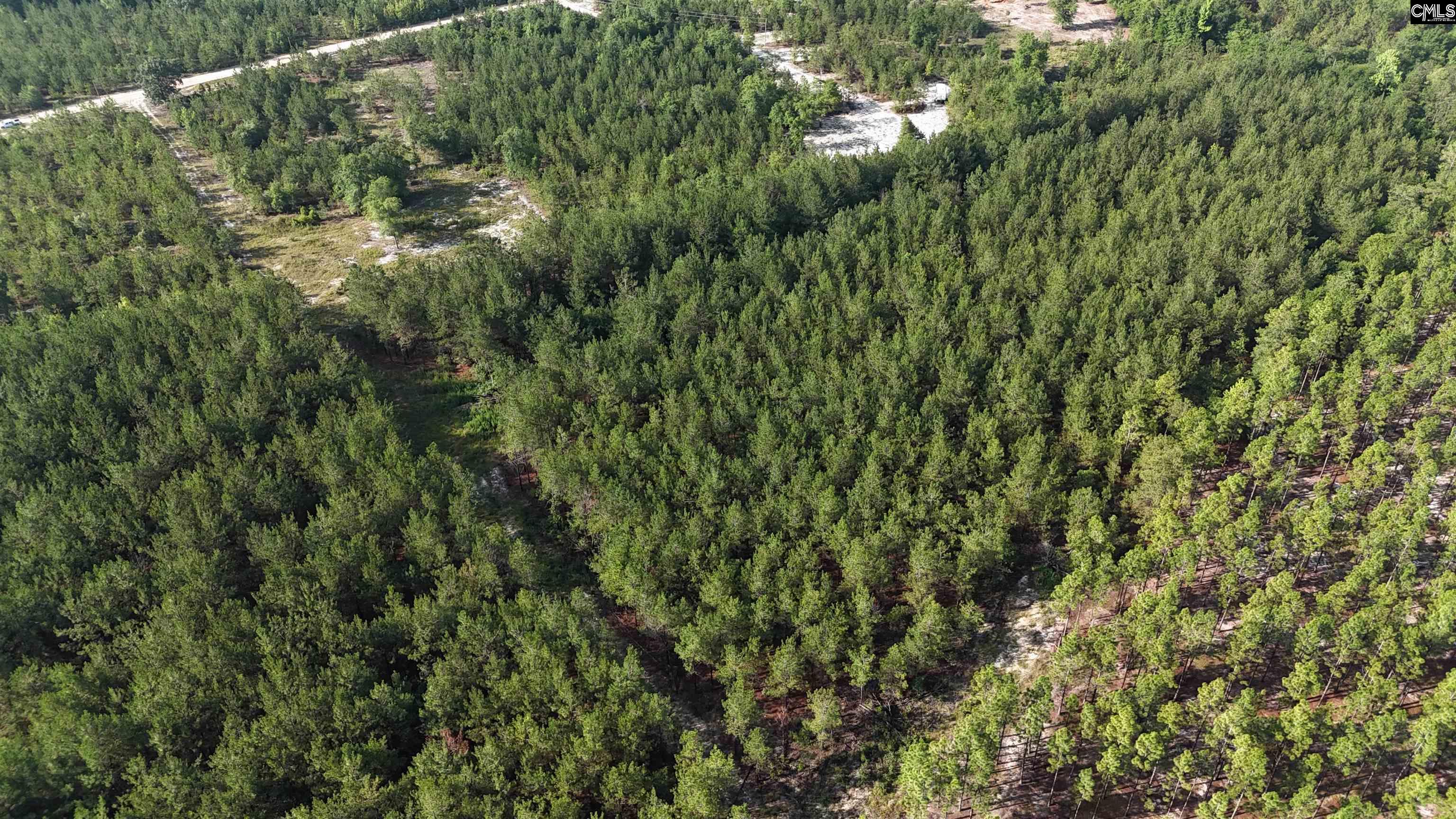 3091 Arcadia Road Bethune, SC 29009-0000