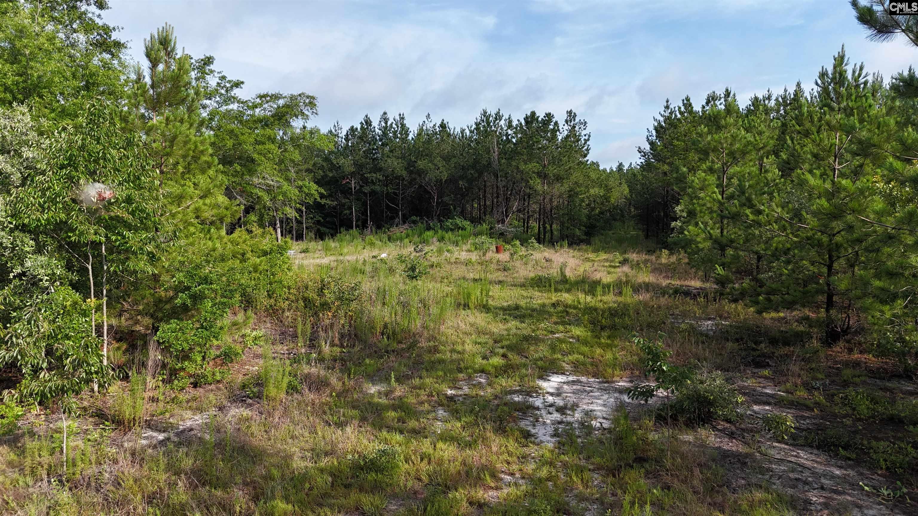 3091 Arcadia Road Bethune, SC 29009-0000