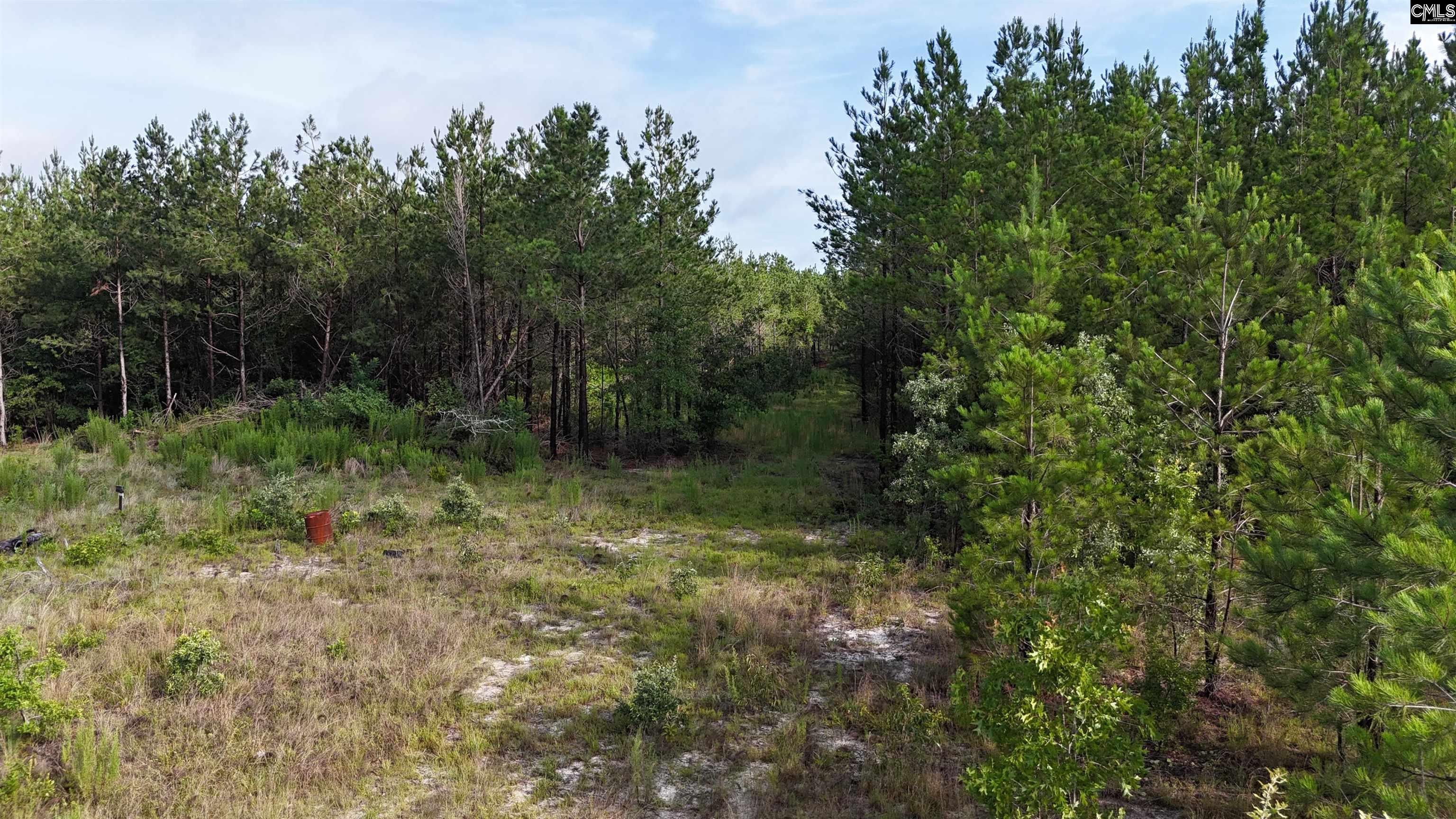 3091 Arcadia Road Bethune, SC 29009-0000