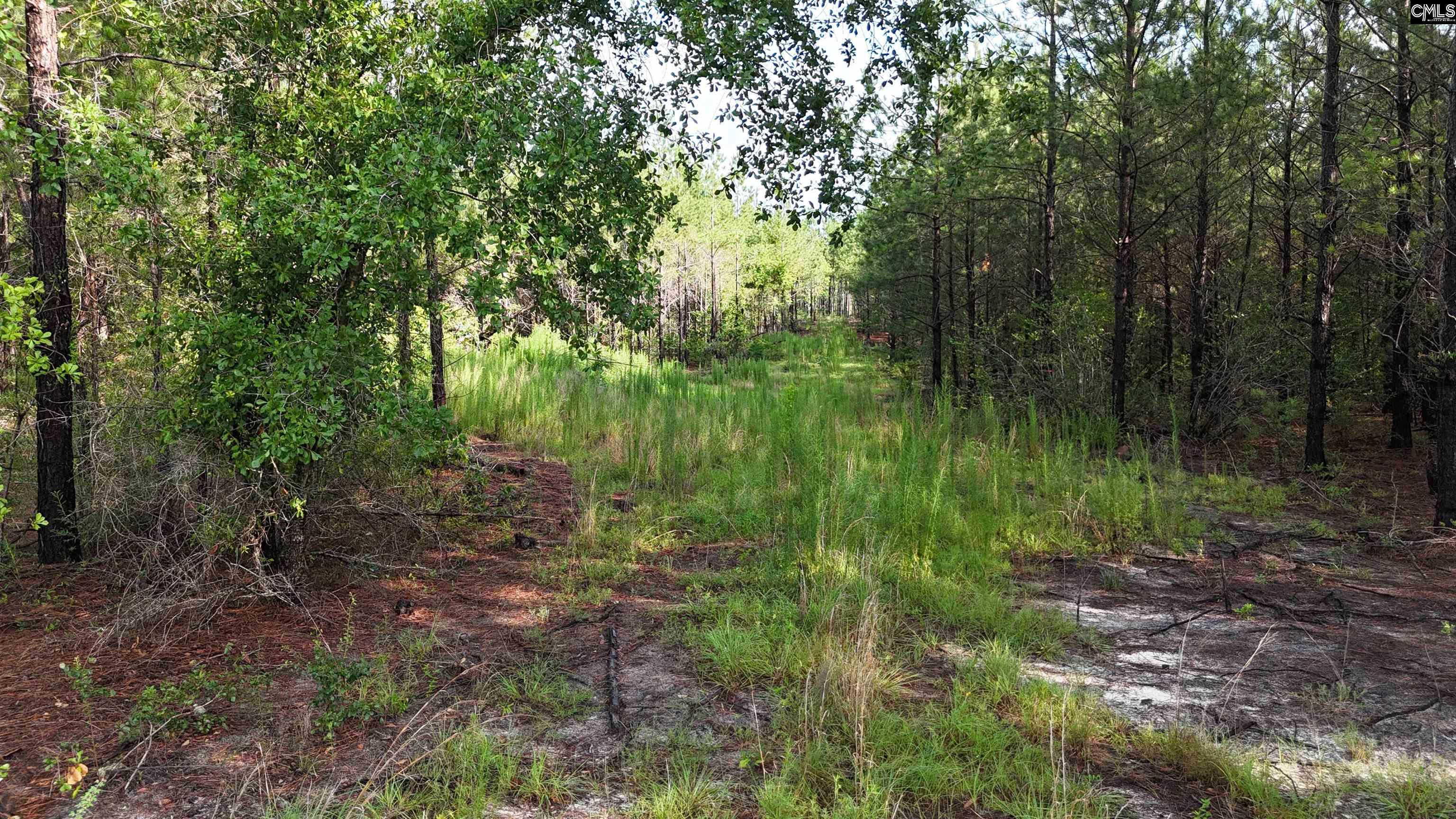 3091 Arcadia Road Bethune, SC 29009-0000