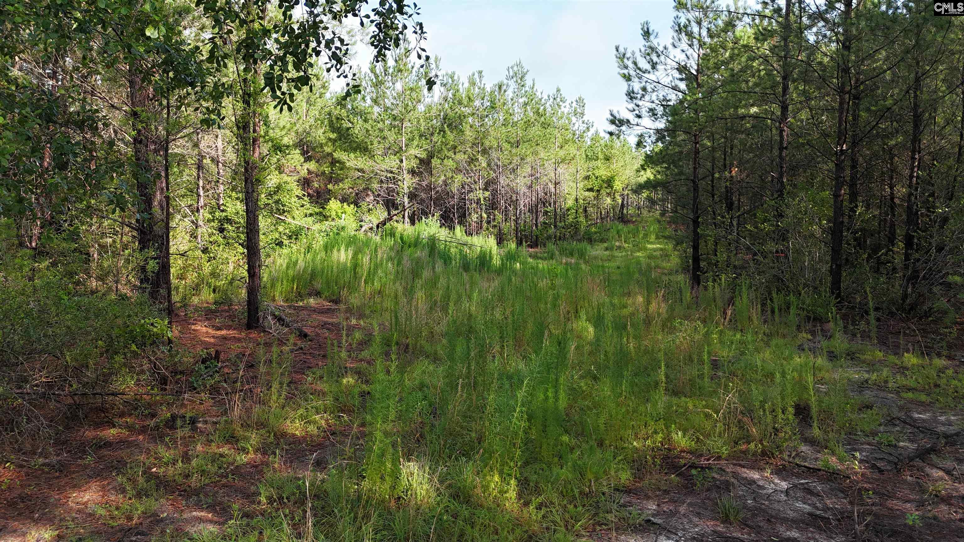 3091 Arcadia Road Bethune, SC 29009-0000
