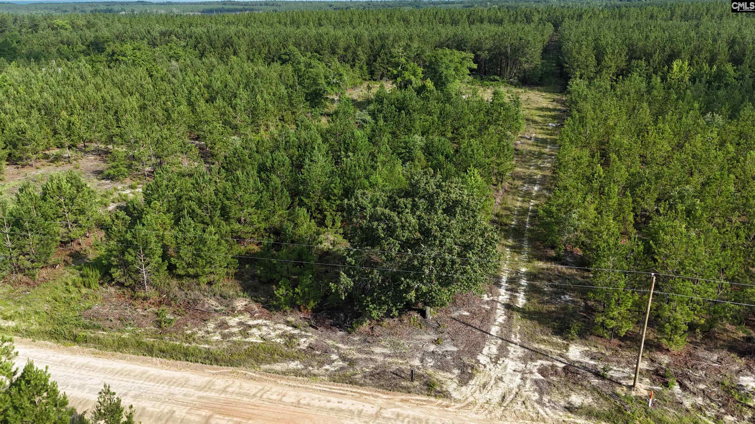 3091 Arcadia Road Bethune, SC 29009-0000