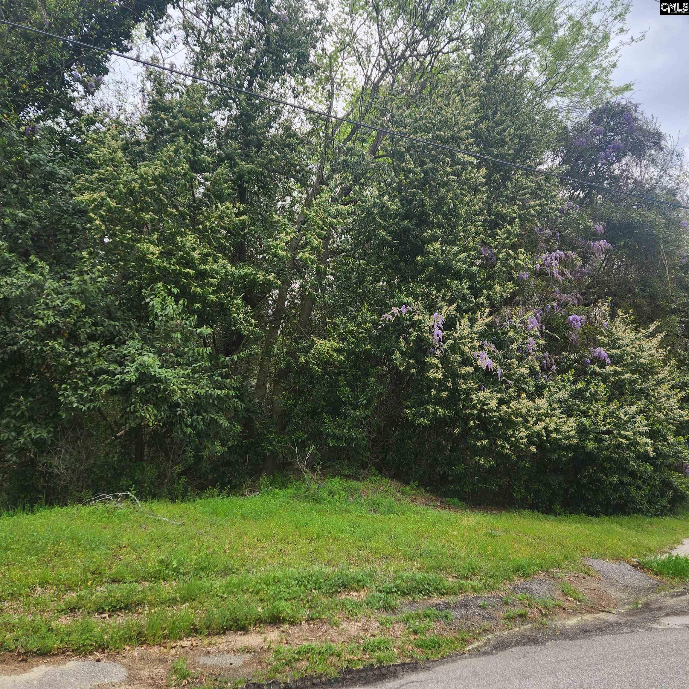 6430 Norris Street Columbia, SC 29209