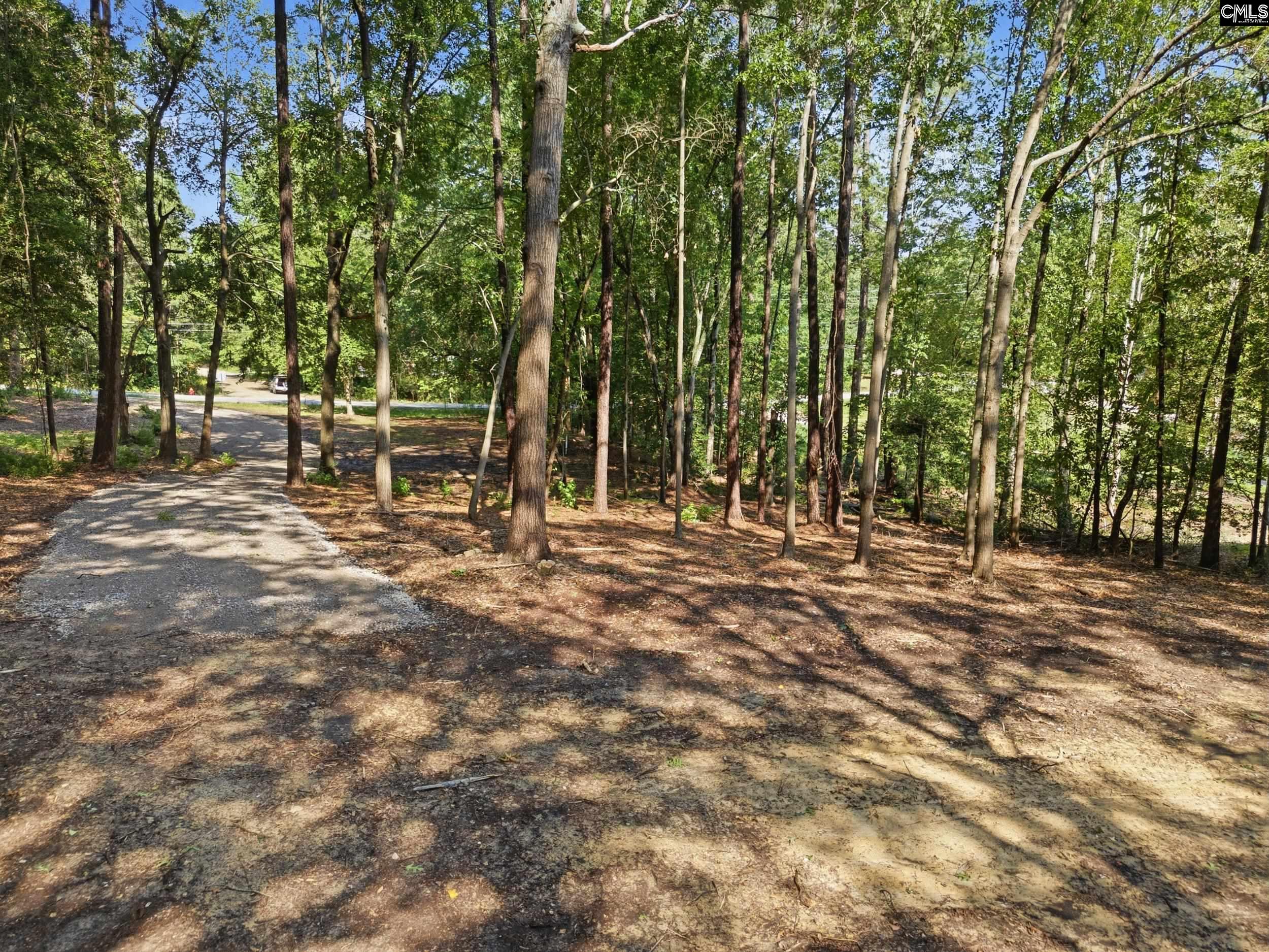 Harmon Street Lexington, SC 29072