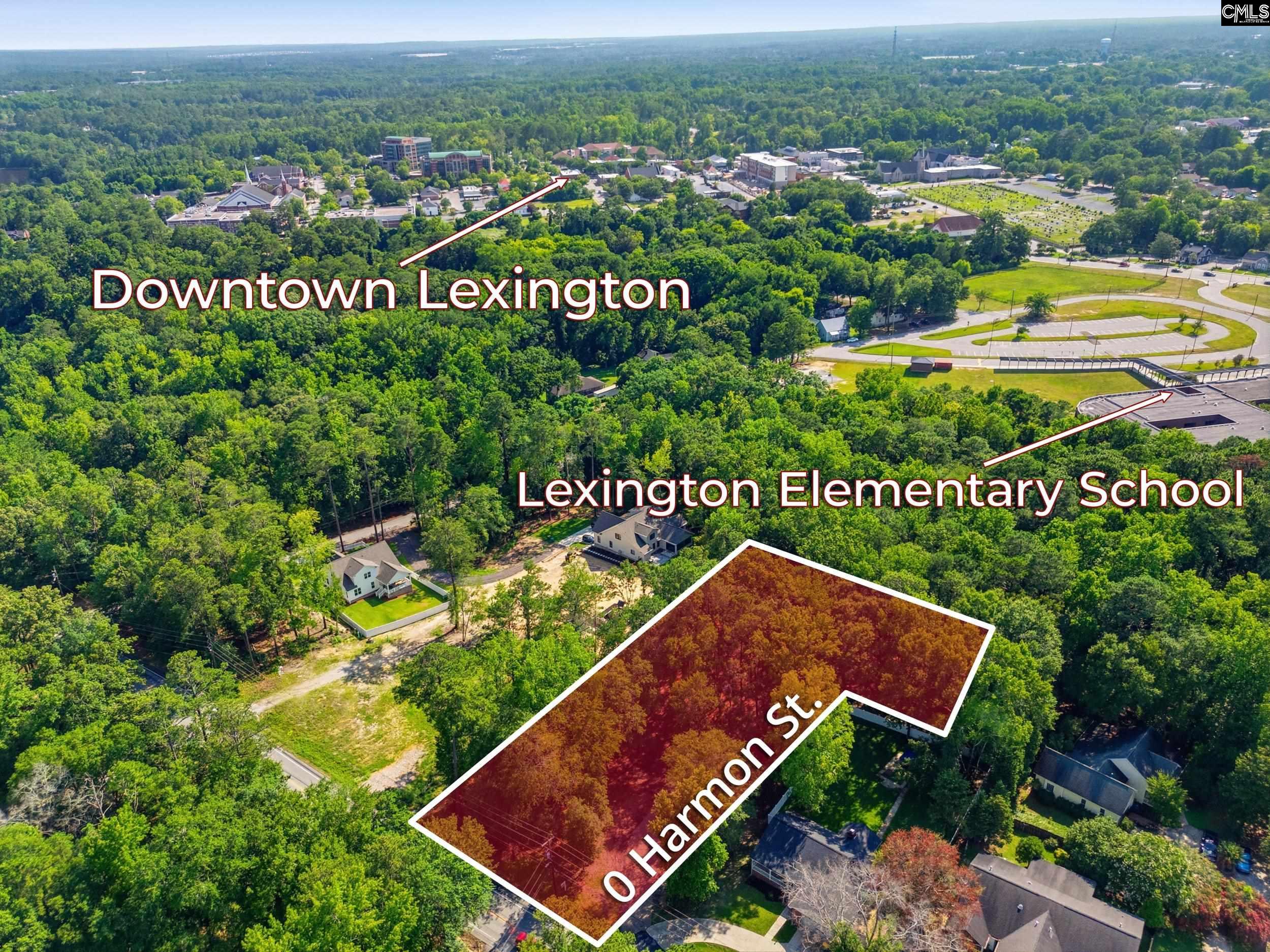 Harmon Street Lexington, SC 29072