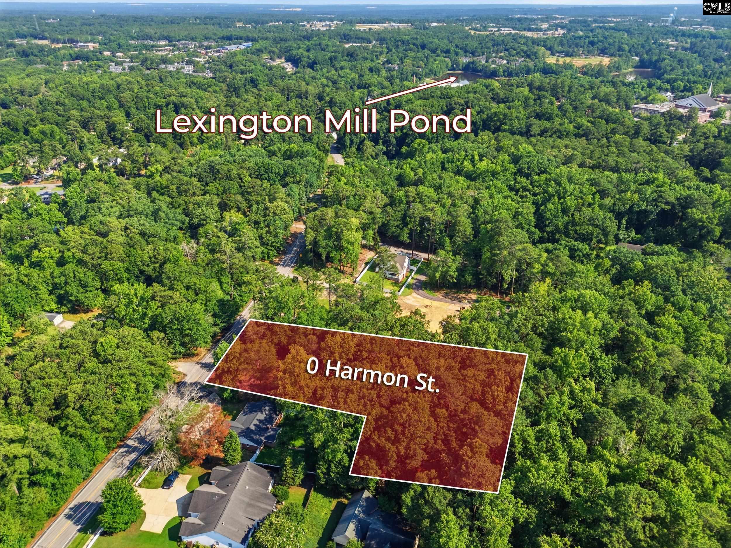 Harmon Street Lexington, SC 29072