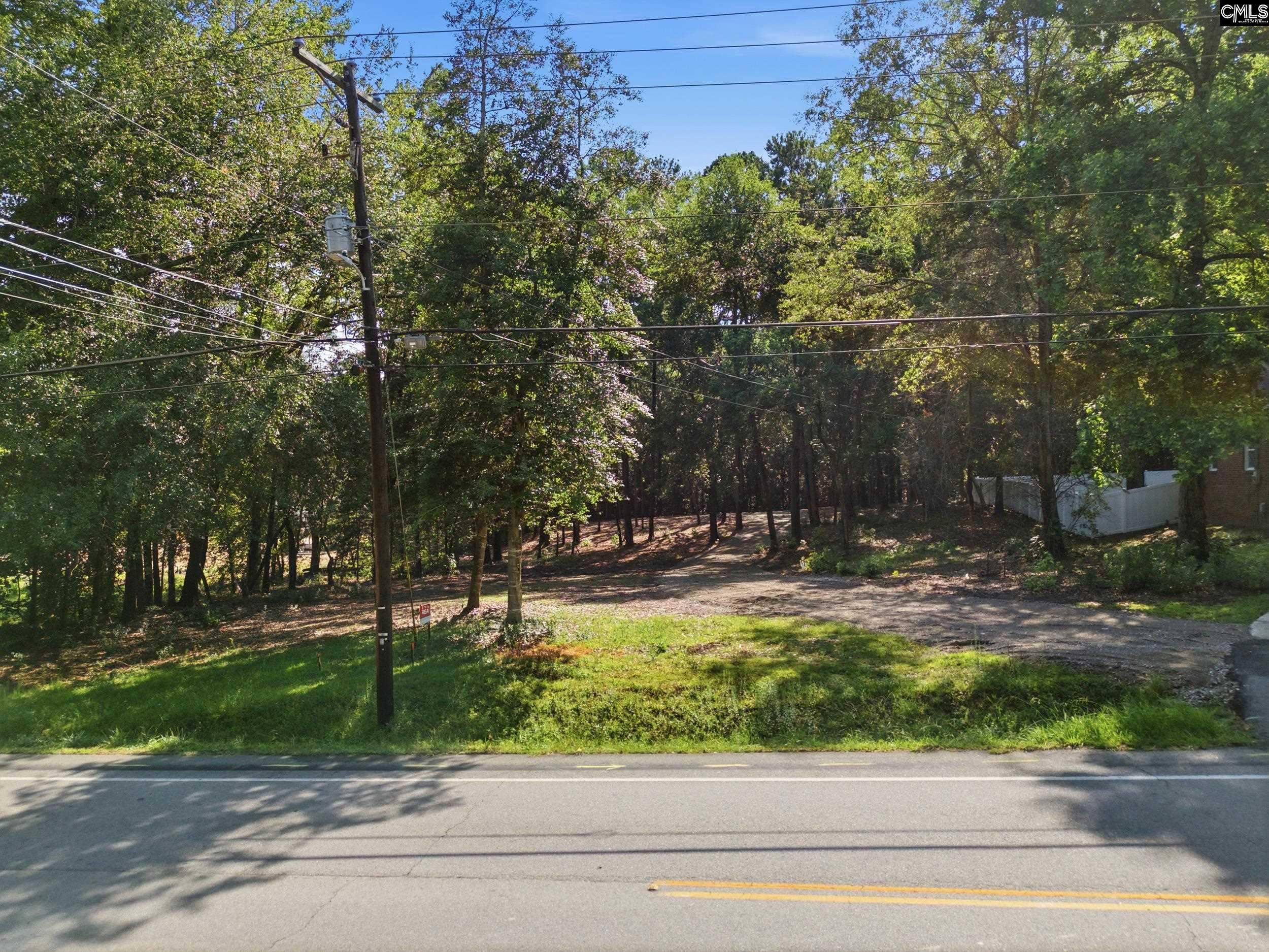Harmon Street Lexington, SC 29072