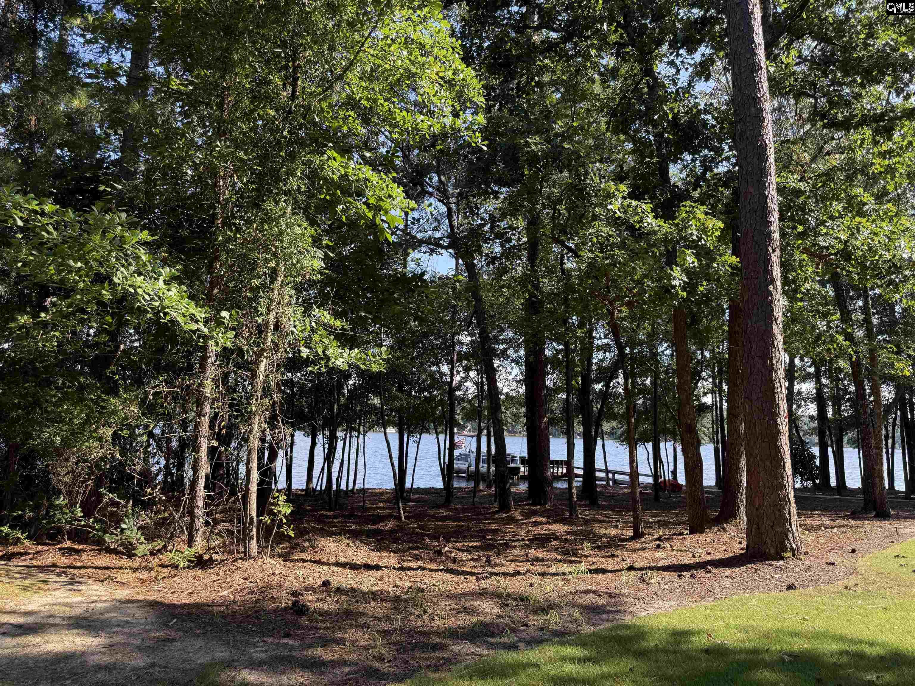 17 Staunton Court Columbia, SC 29229