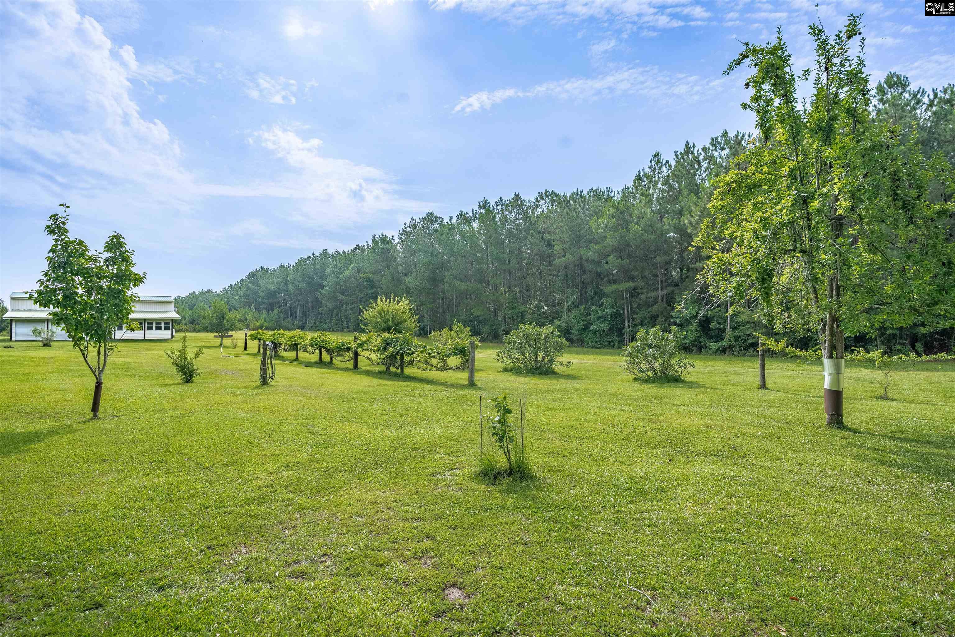 187 Peach Tree Street Ward, SC 29166