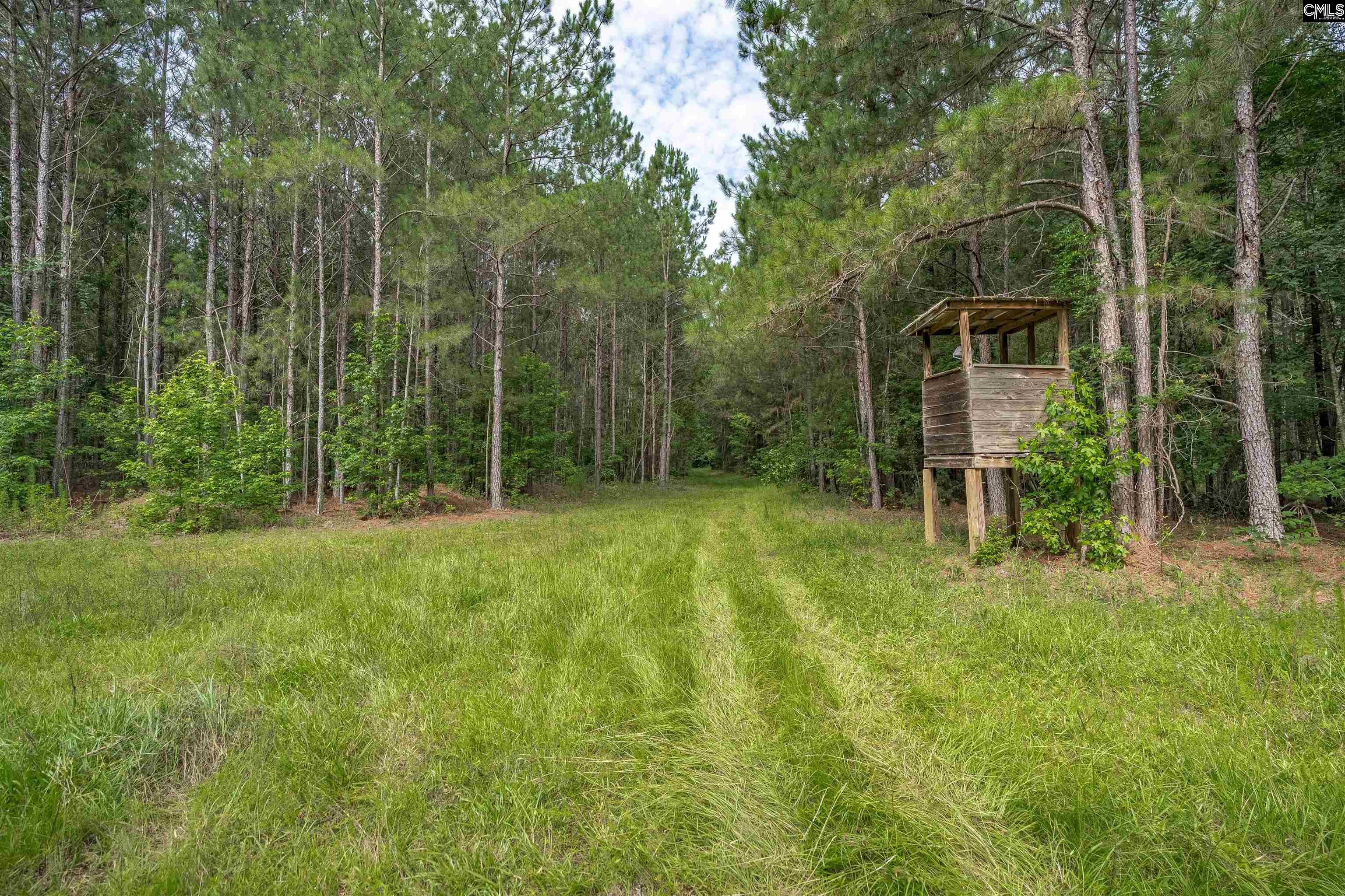 187 Peach Tree Street Ward, SC 29166