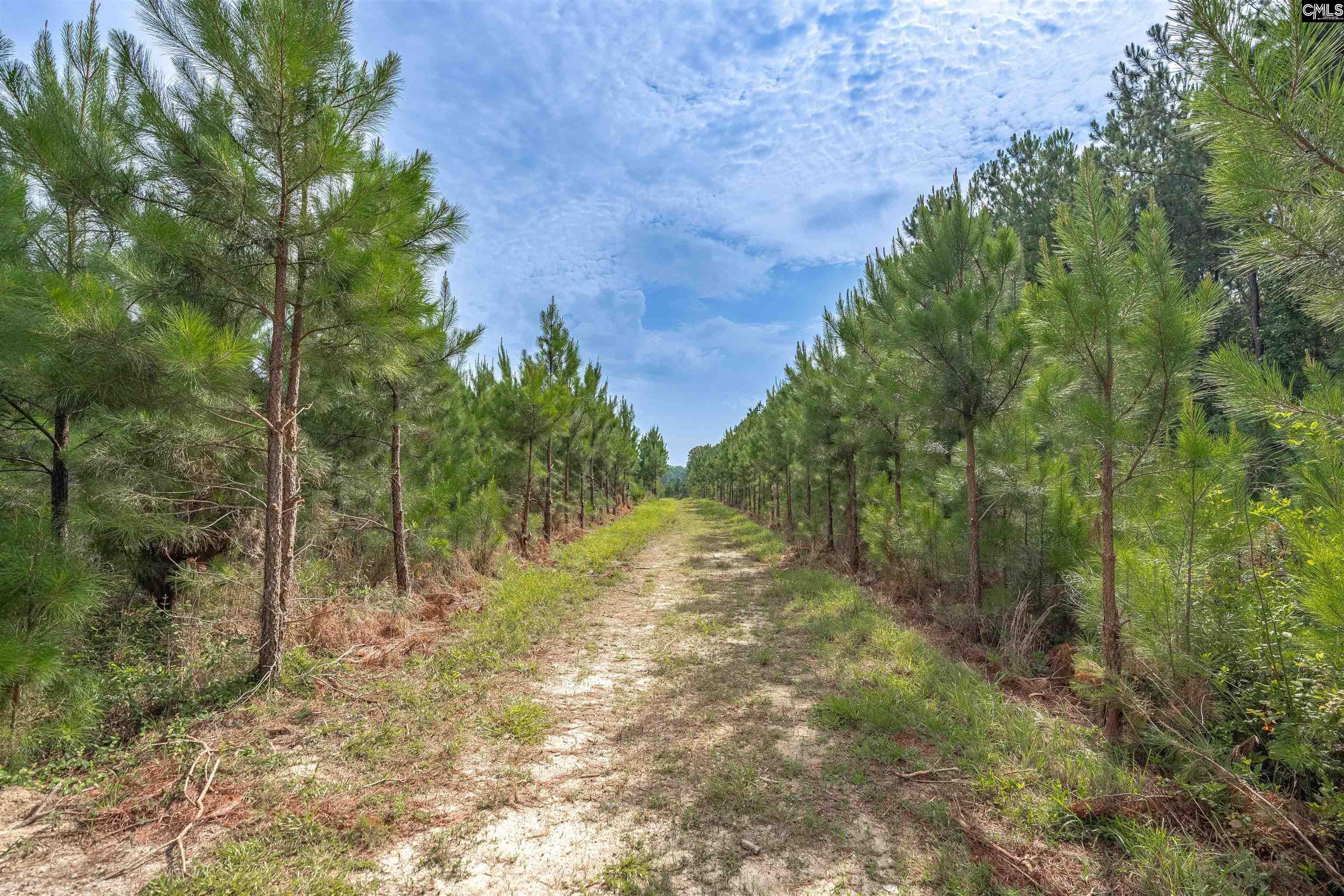 187 Peach Tree Street Ward, SC 29166