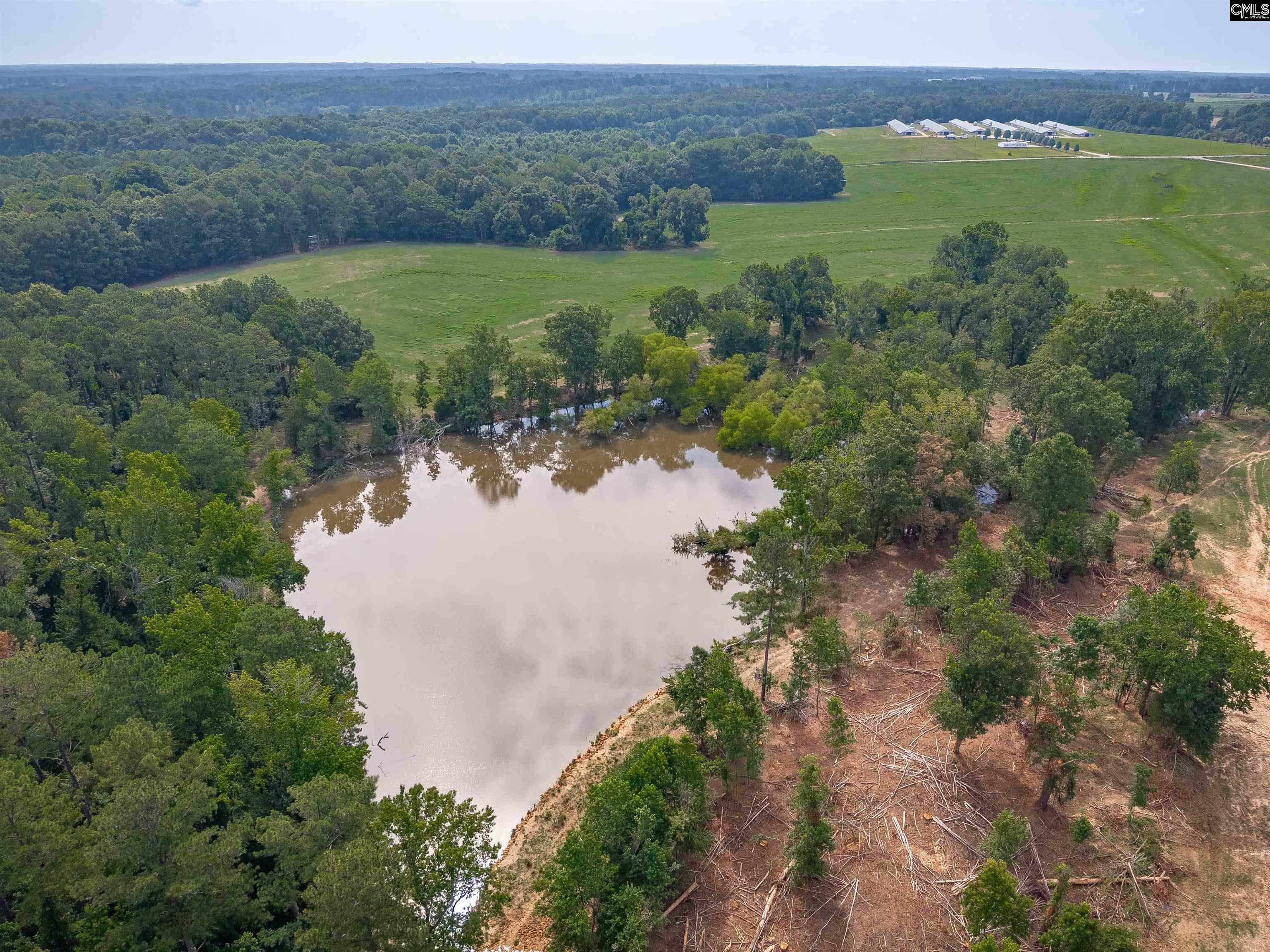 187 Peach Tree Street Ward, SC 29166
