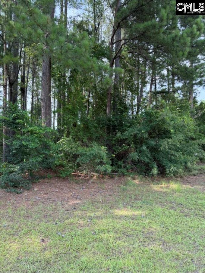 2140 Watersong Run Sumter, SC 29150