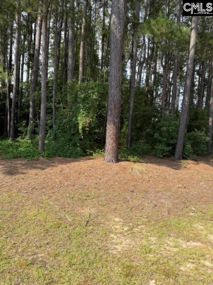 2140 Watersong Run Sumter, SC 29150