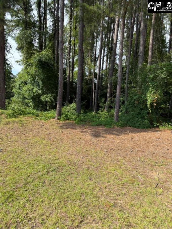 2140 Watersong Run Sumter, SC 29150
