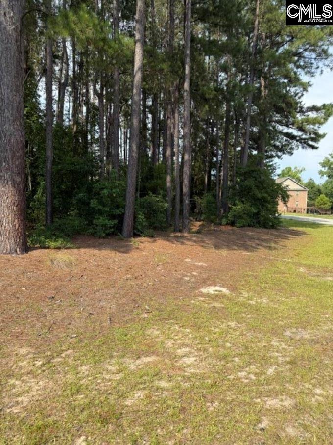 2140 Watersong Run Sumter, SC 29150