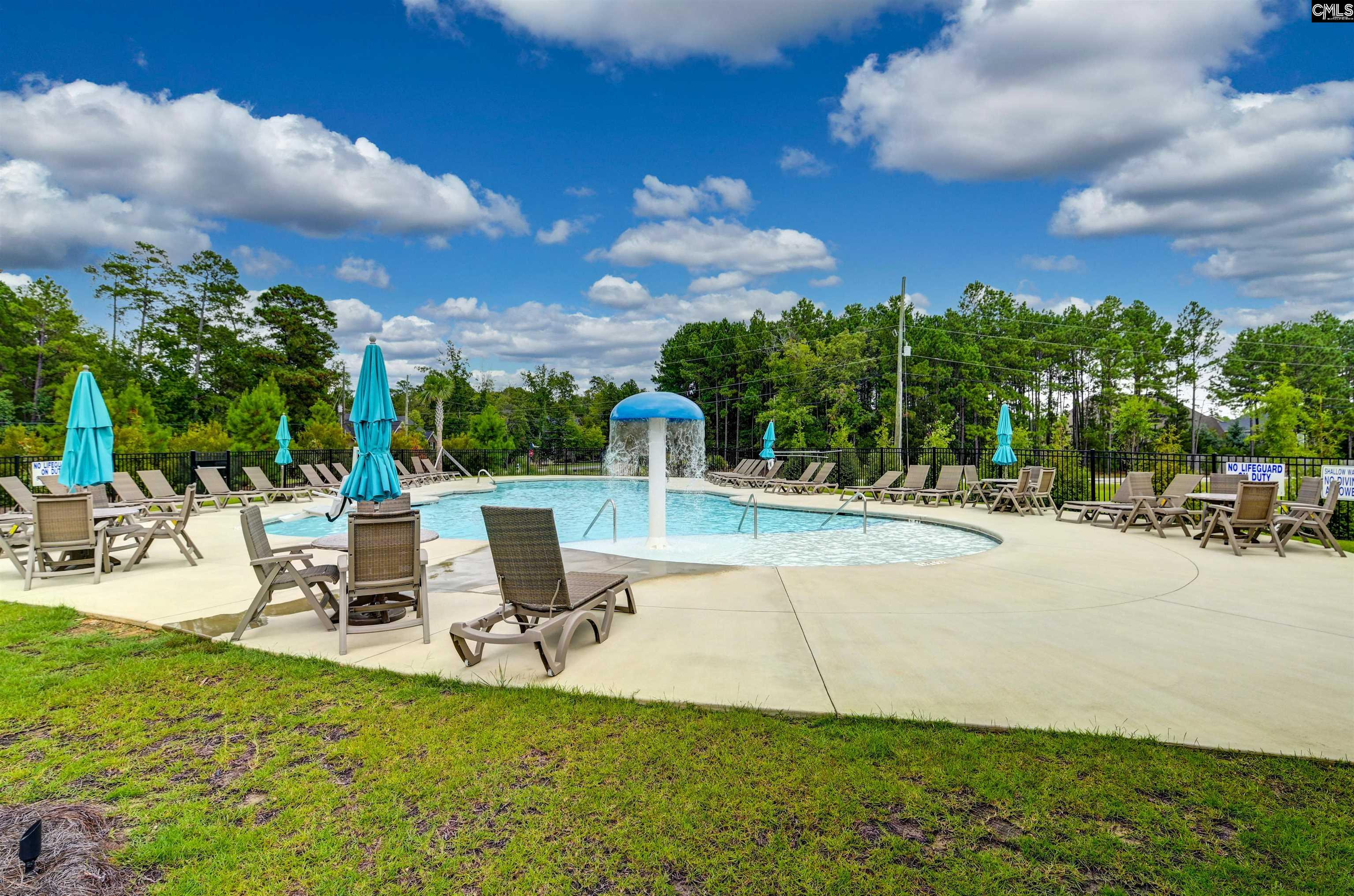 603 Riverdale Court Chapin, SC 29036