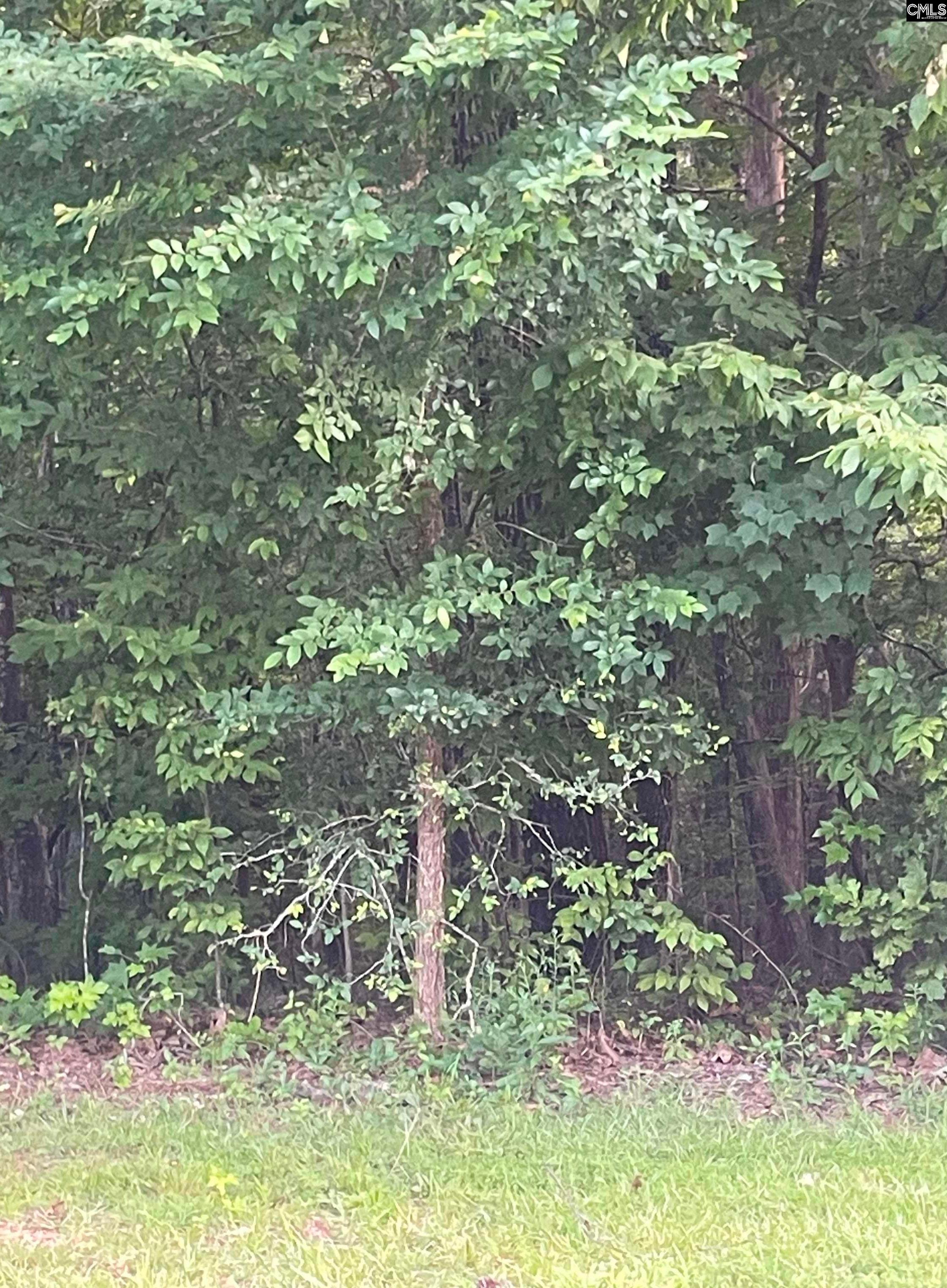 11 Otter Trail Columbia, SC 29203