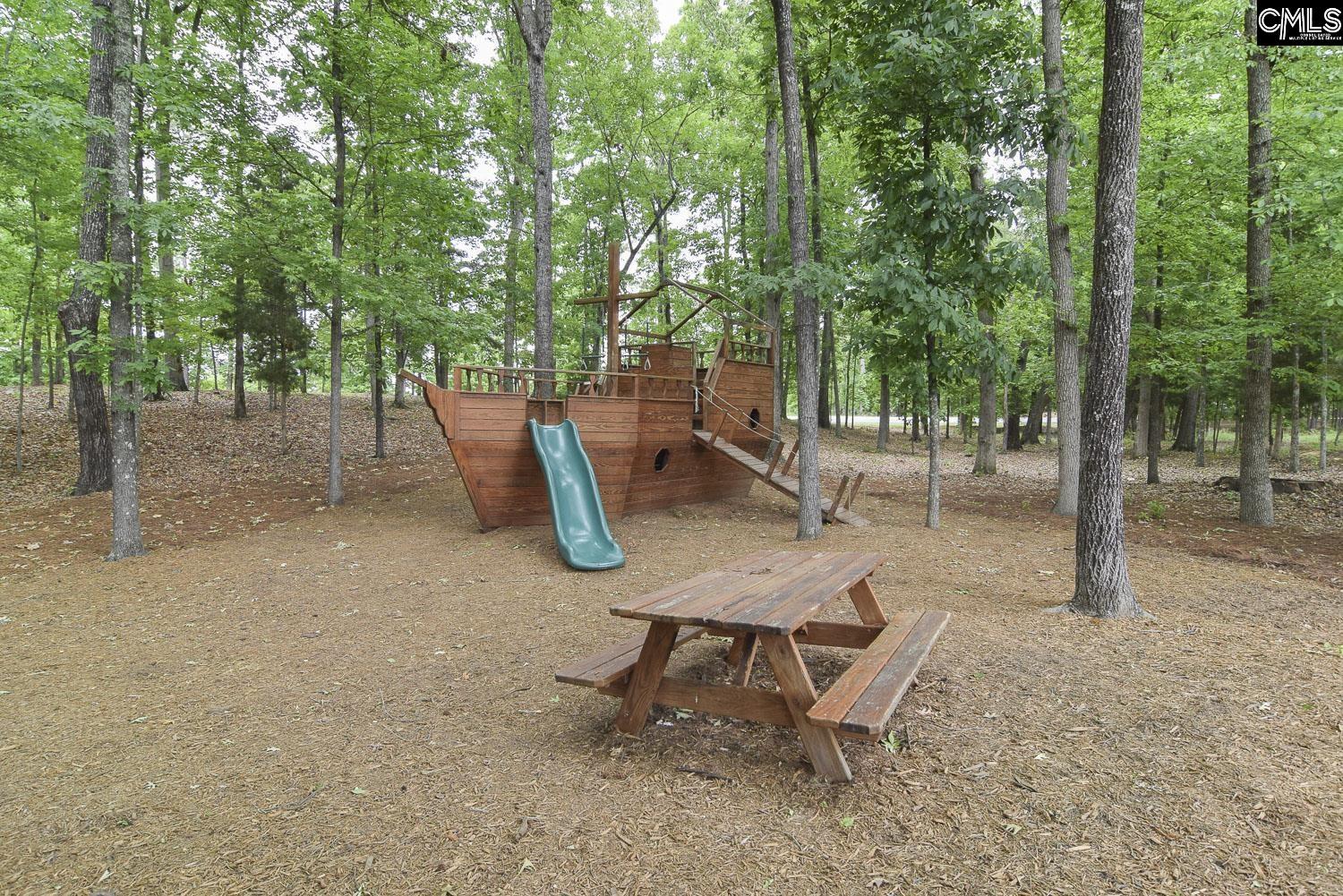 437 Lanyard Lane Chapin, SC 29036