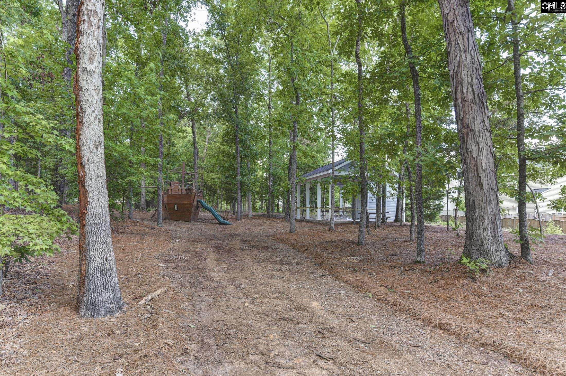 437 Lanyard Lane Chapin, SC 29036