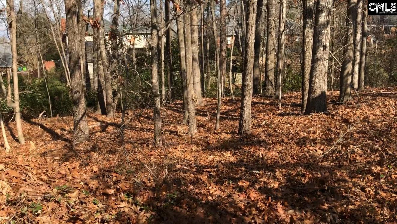 326 Carola Lane Lexington, SC 29072