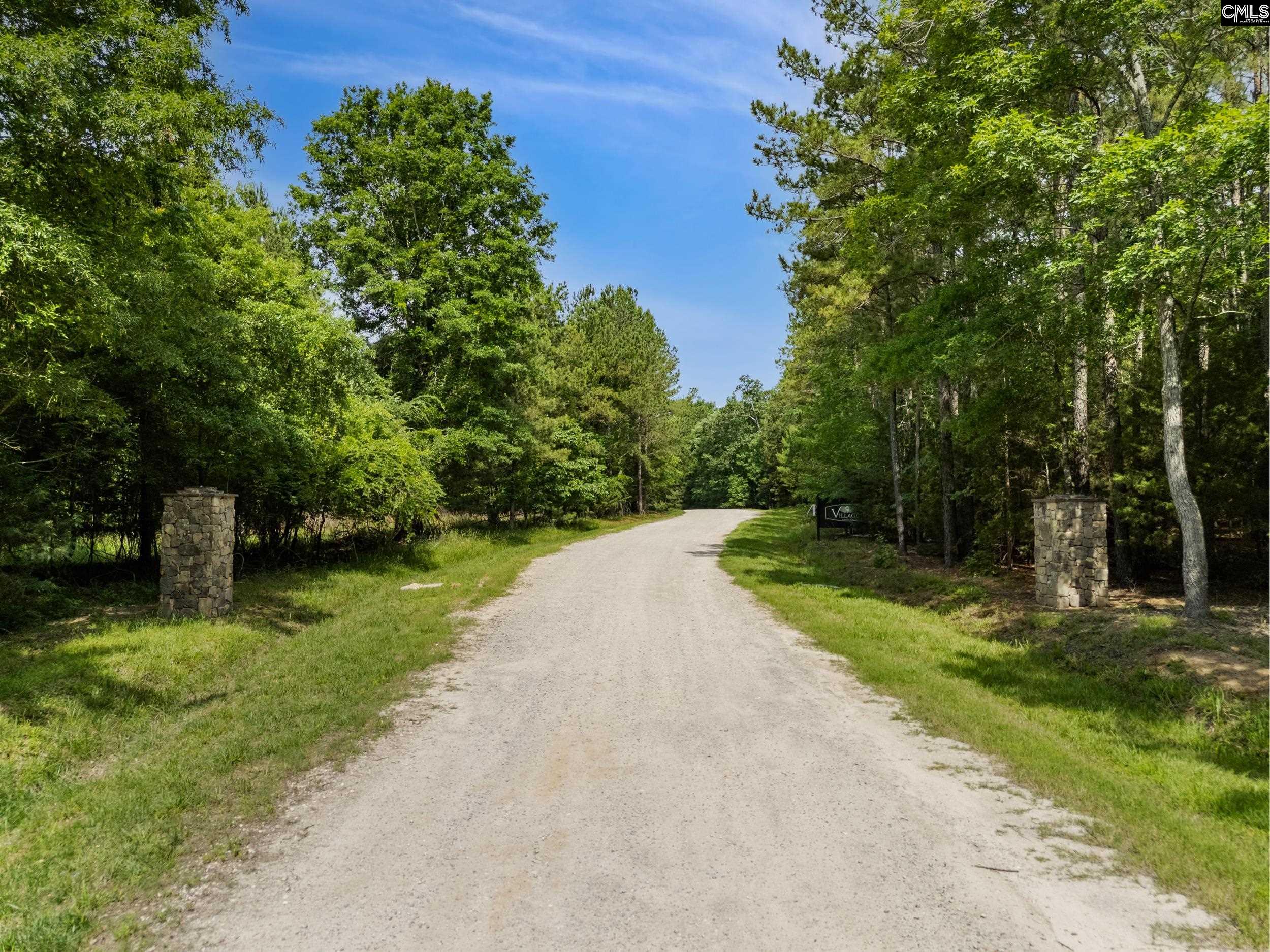 660 Clipper Trail UNIT #14 Chapin, SC 29036