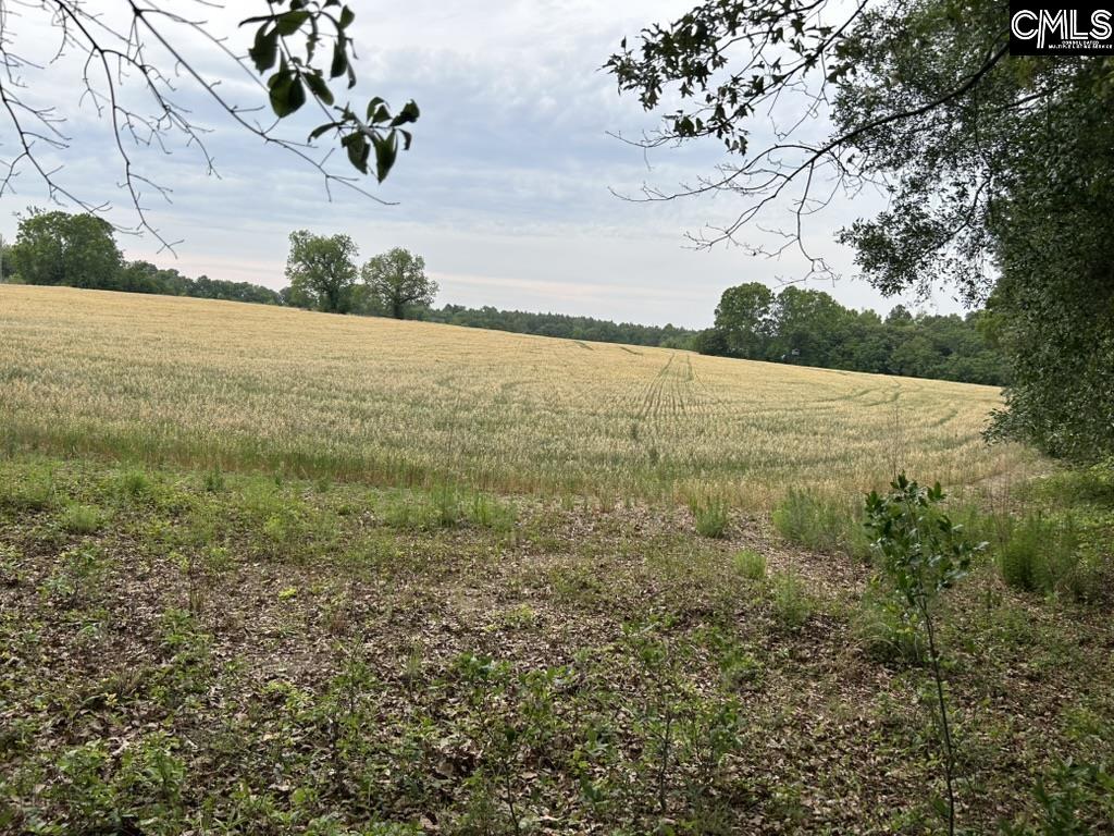 Bodie Road Pelion, SC 29123