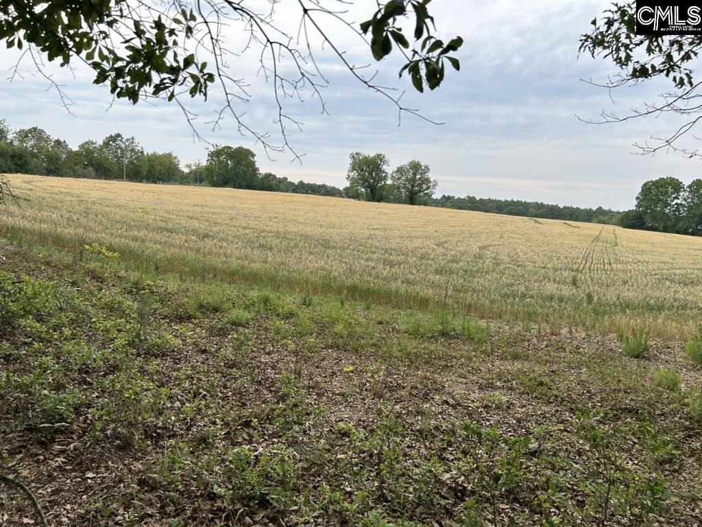 Bodie Road Pelion, SC 29123