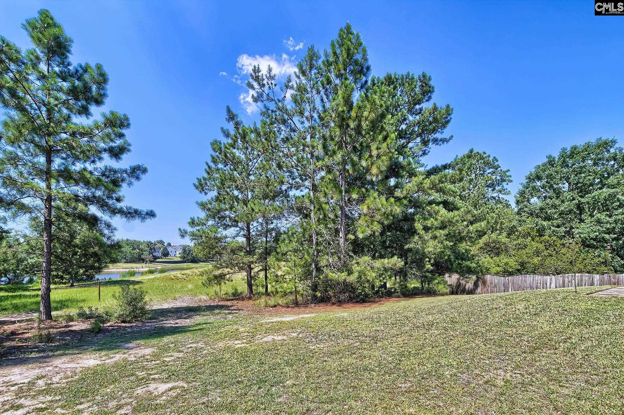 1110 Hamilton Place Circle Columbia, SC 29229