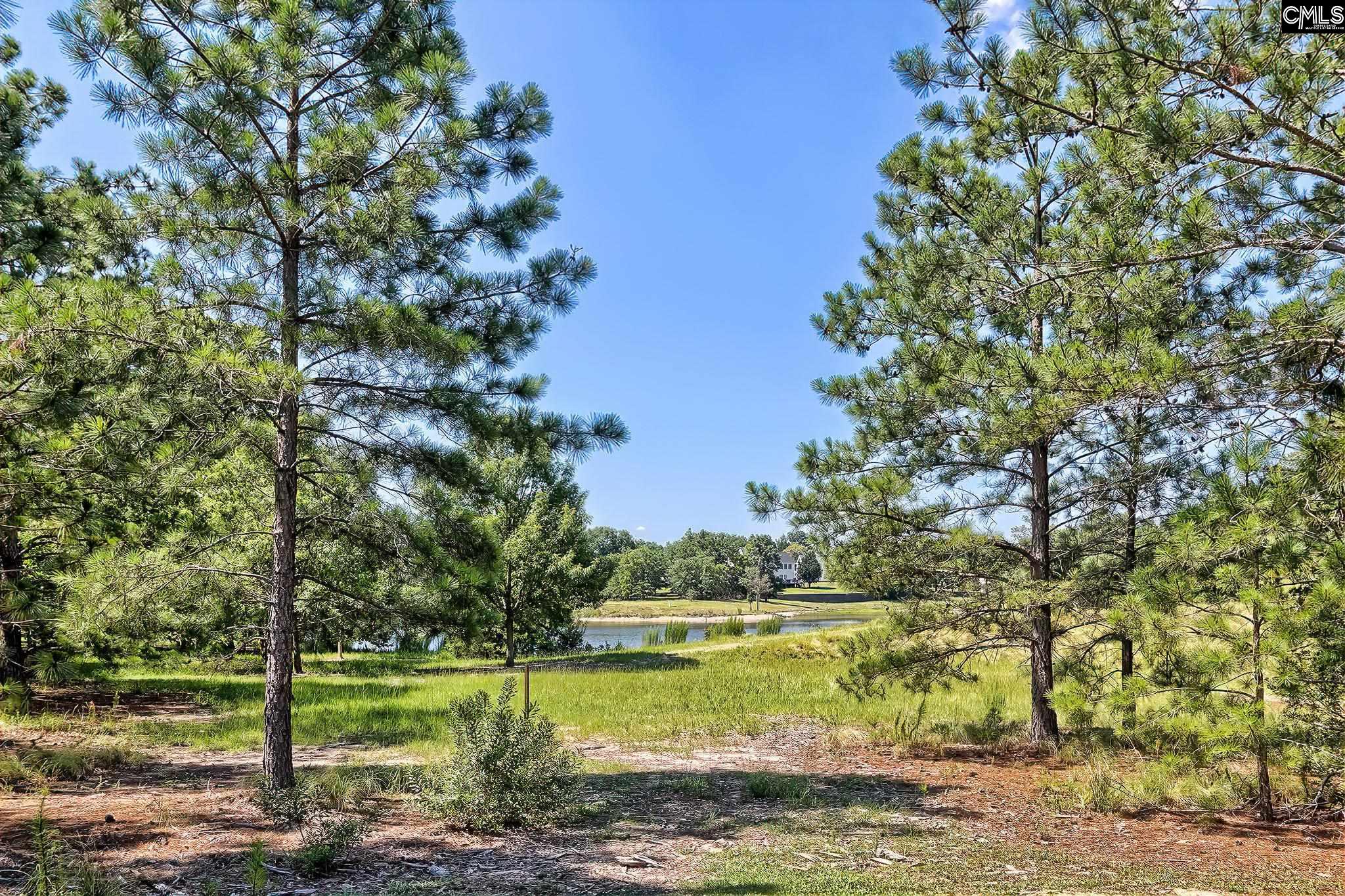 1110 Hamilton Place Circle Columbia, SC 29229