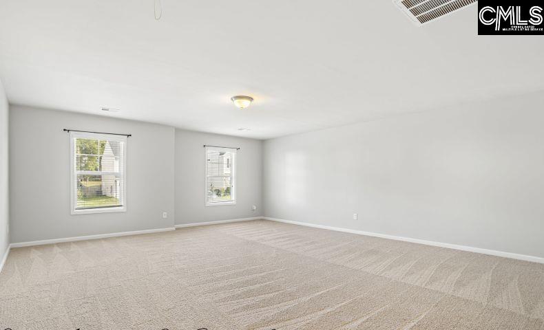 213 Allans Mill Drive Columbia, SC 29223