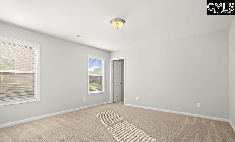 213 Allans Mill Drive Columbia, SC 29223