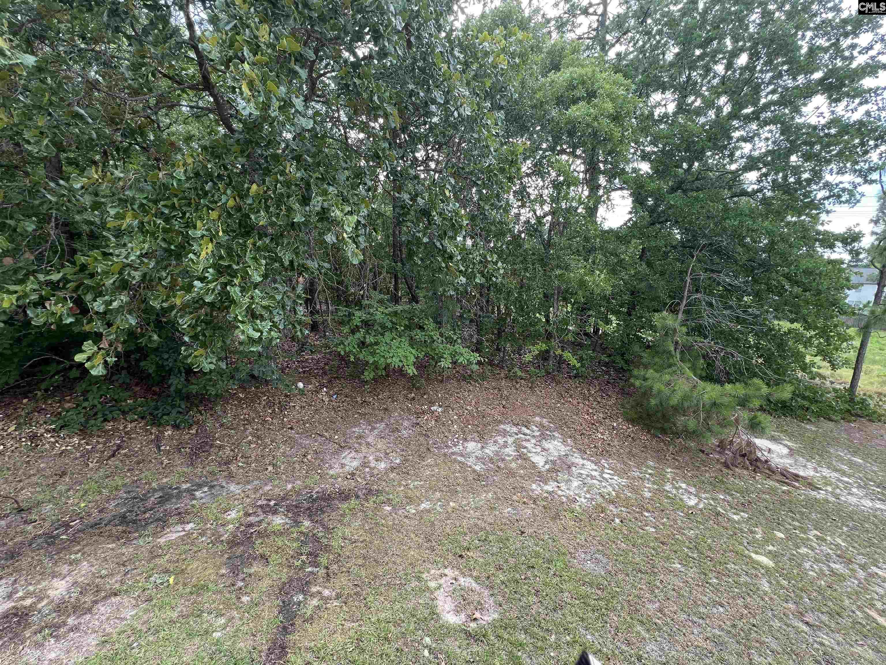 248 Curvewood Road Columbia, SC 29229