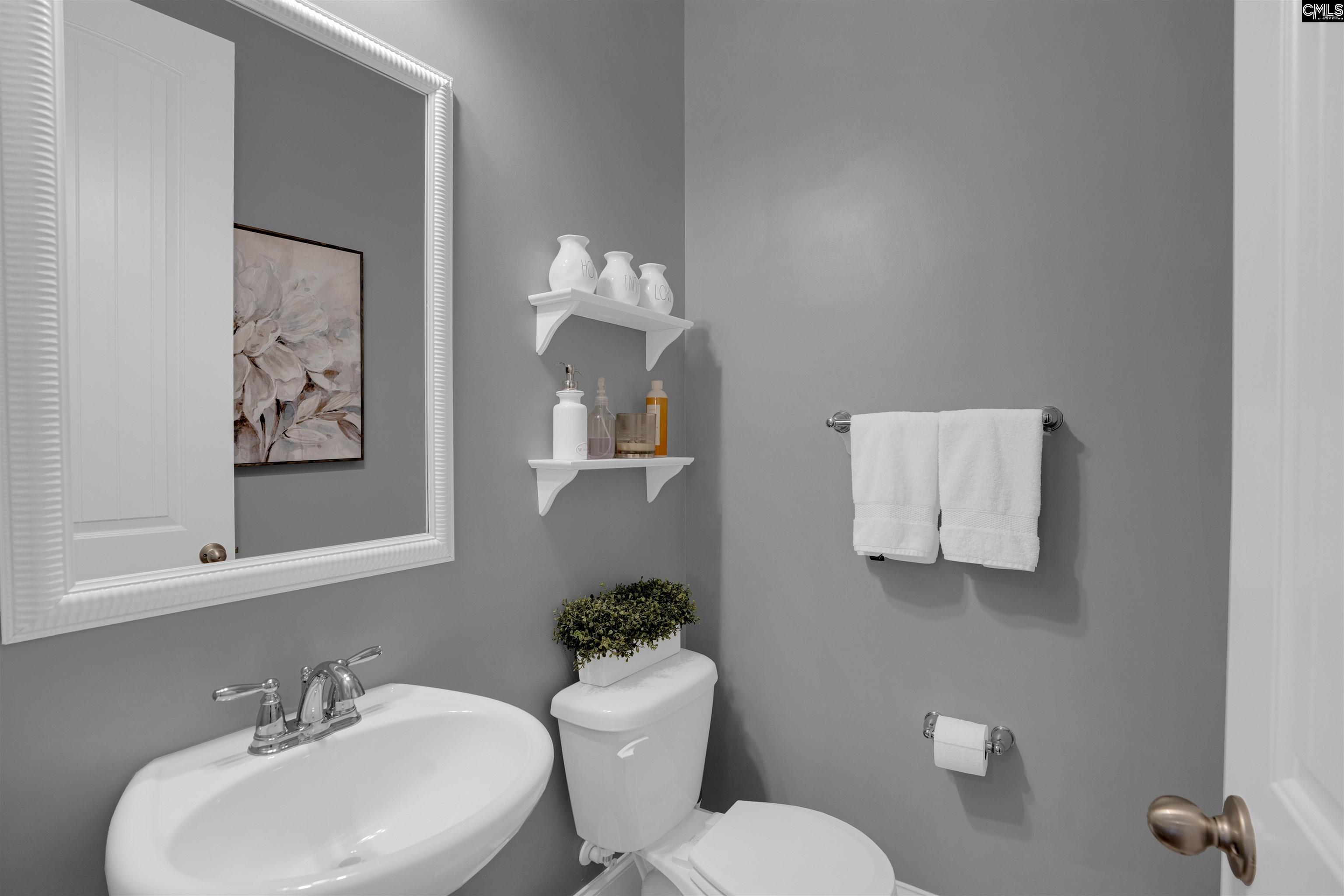 238 Hilton View Court Chapin, SC 29036-7664