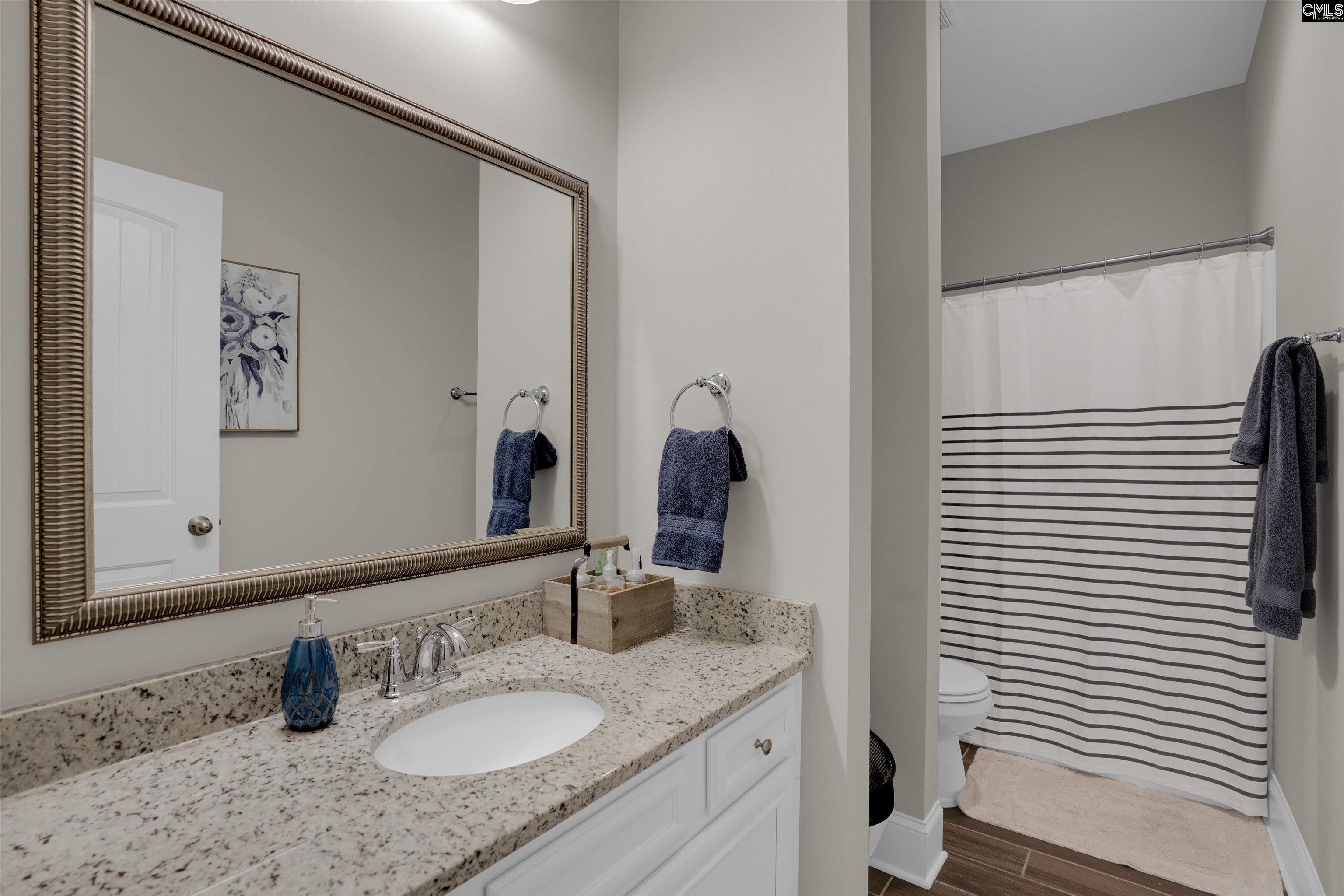 238 Hilton View Court Chapin, SC 29036-7664