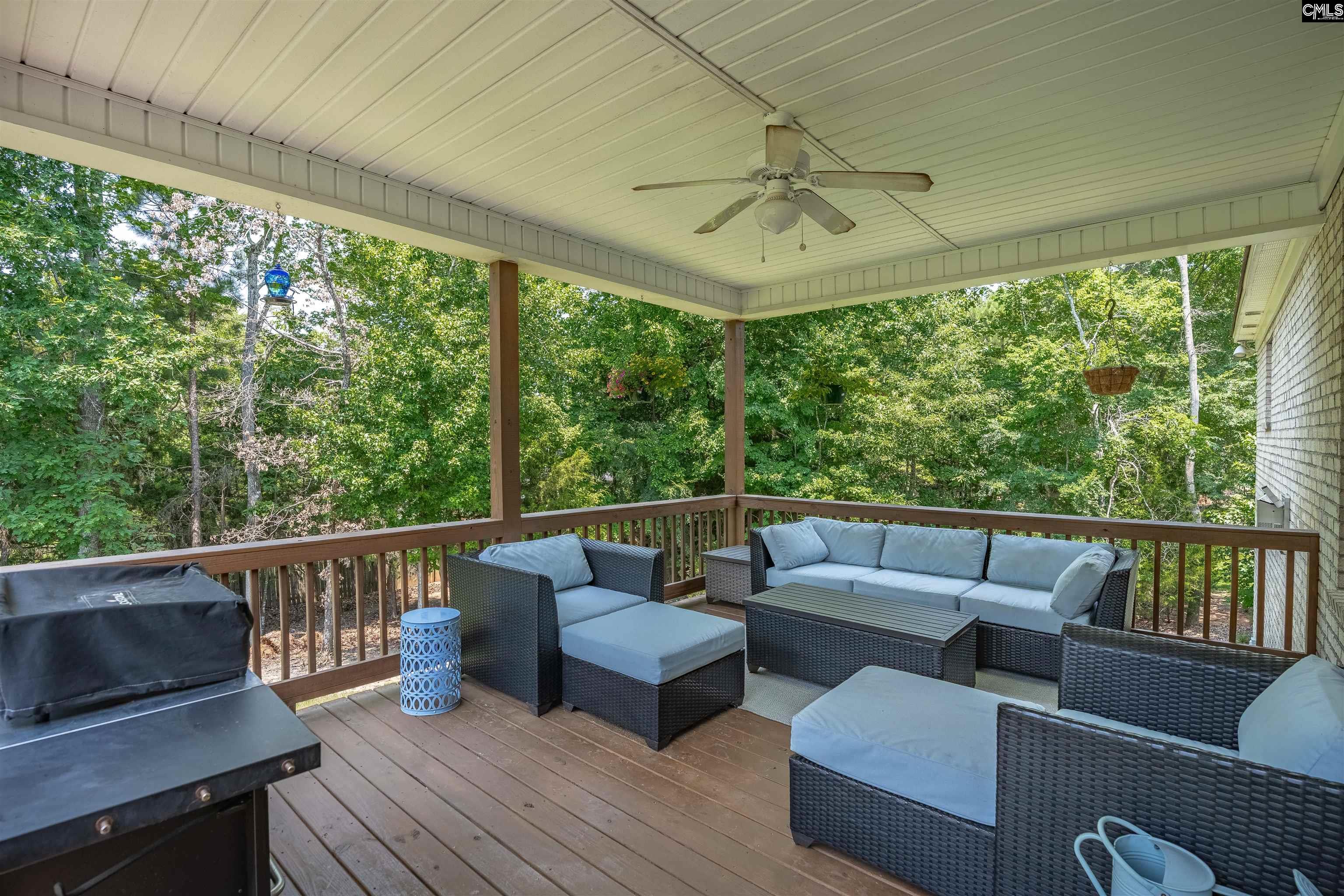 238 Hilton View Court Chapin, SC 29036-7664