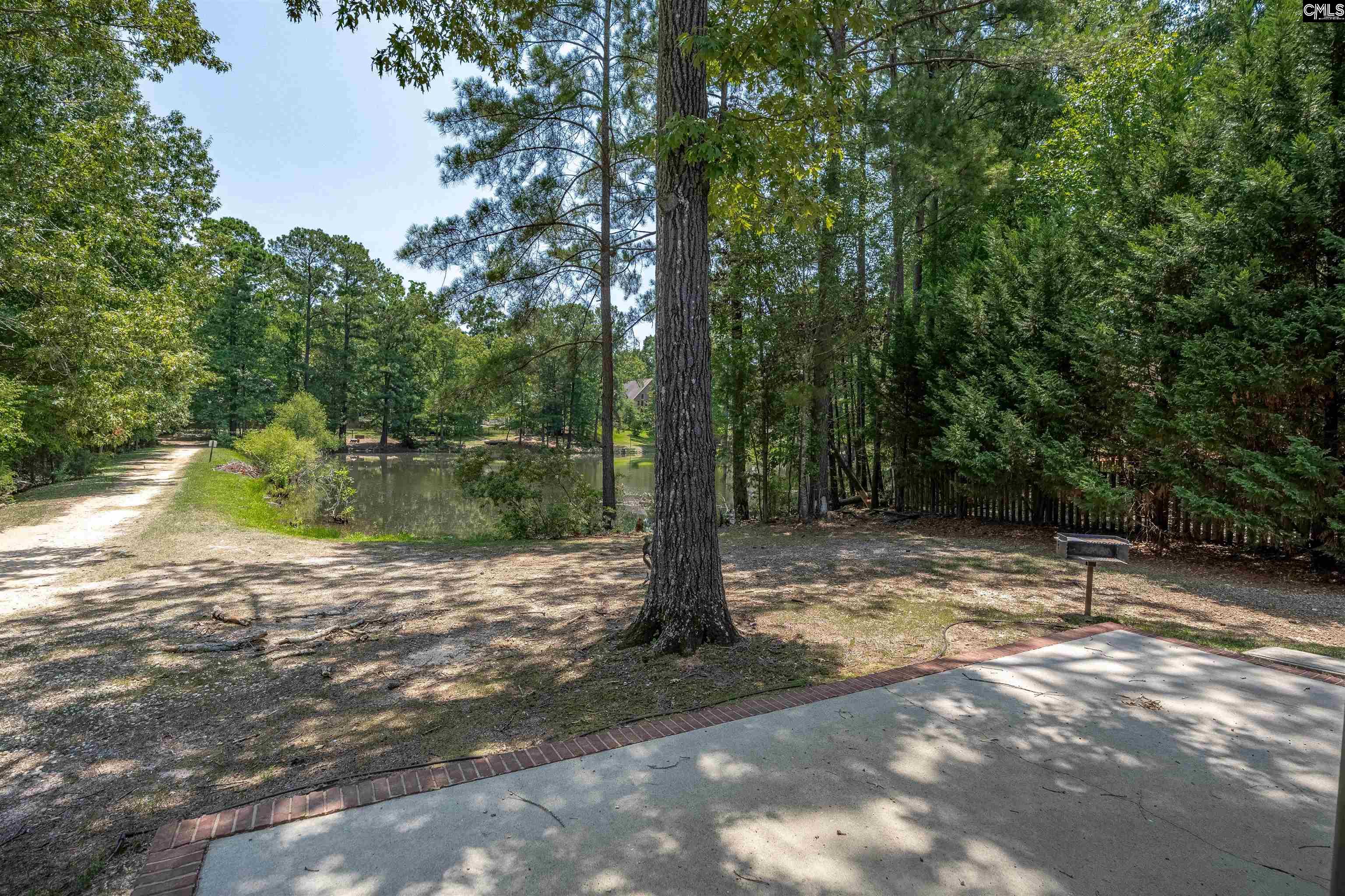 238 Hilton View Court Chapin, SC 29036-7664