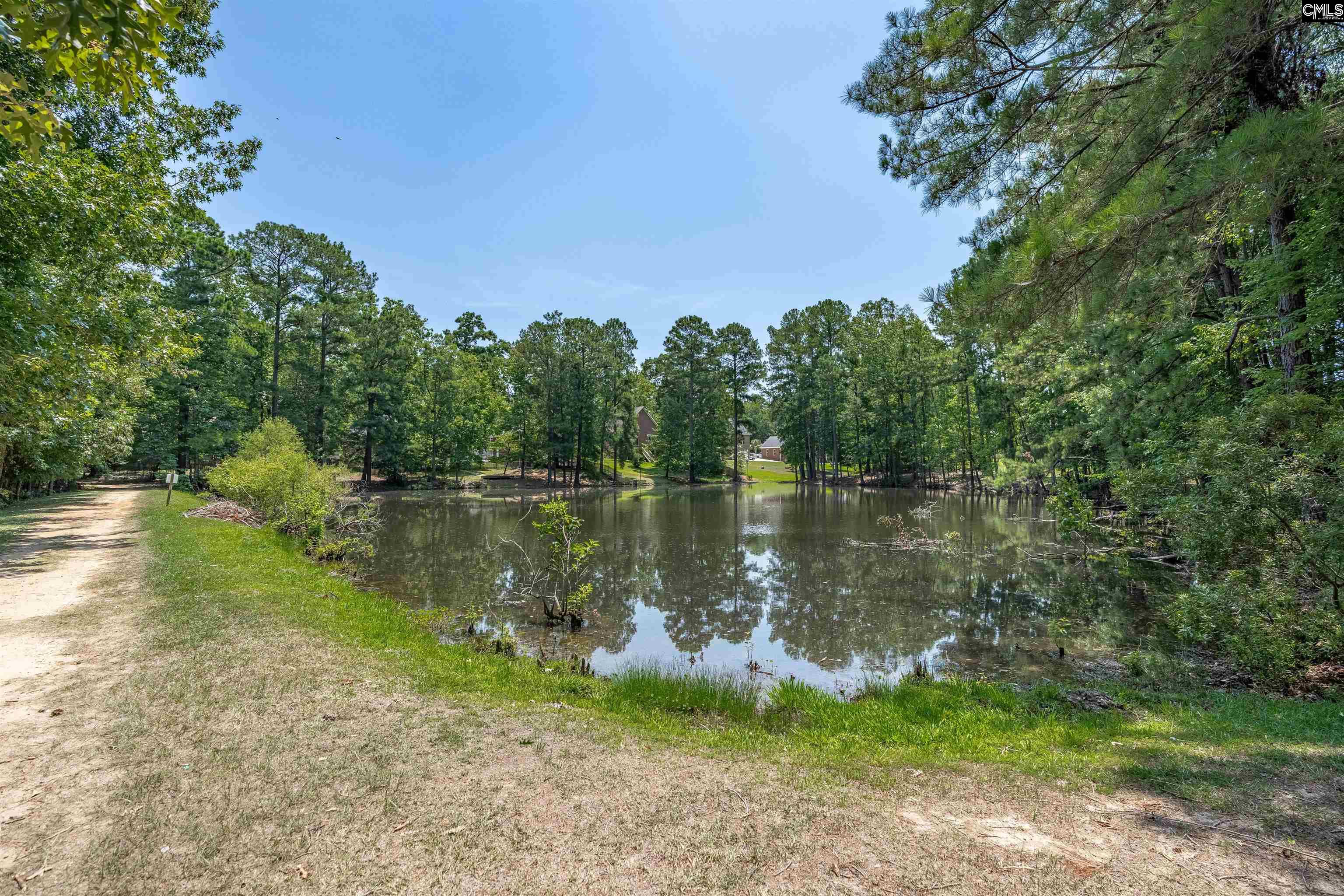 238 Hilton View Court Chapin, SC 29036-7664