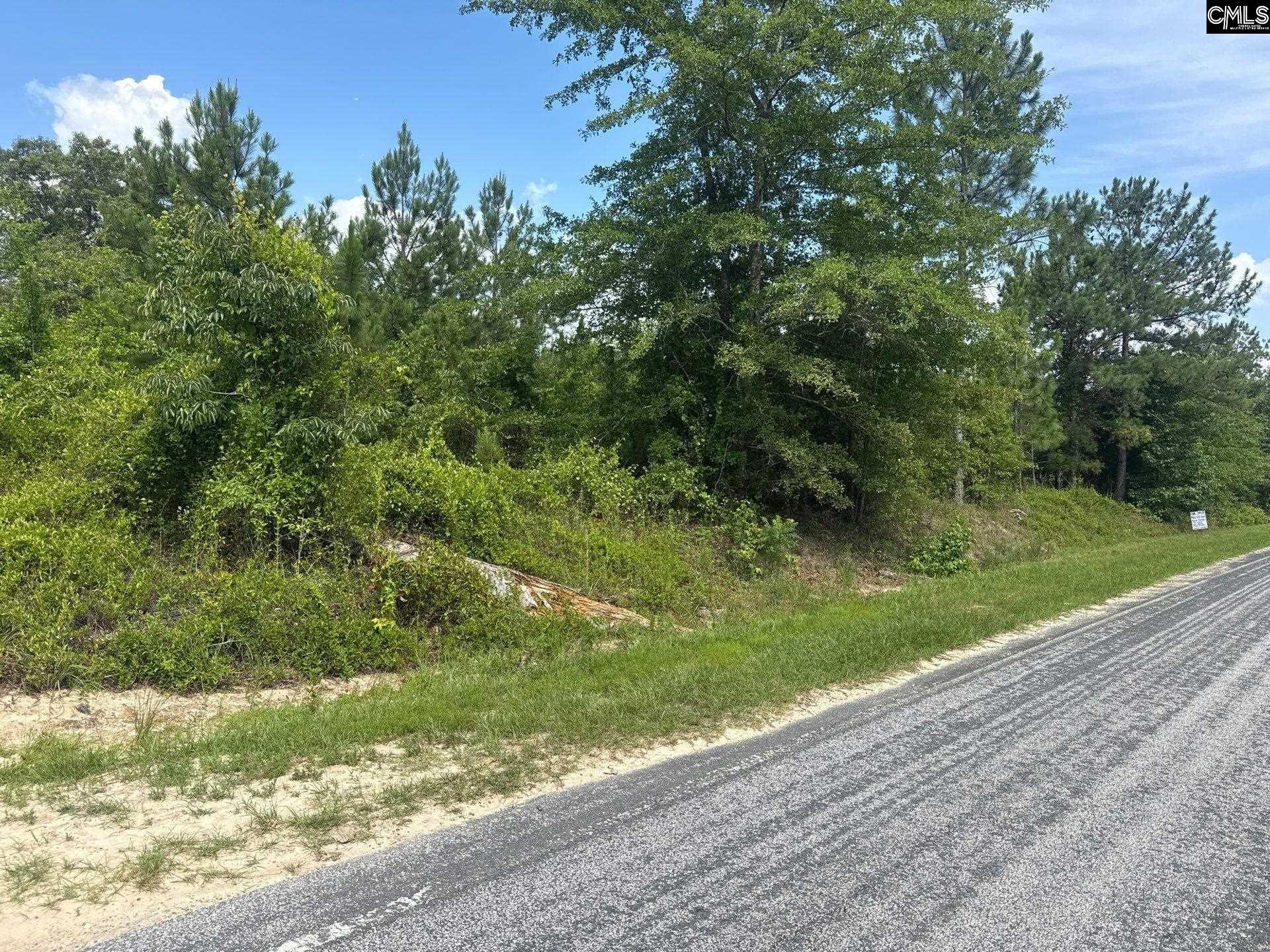 MPF 1 State Rd S-28-31 Road UNIT MPF 1 Jefferson, SC 29718