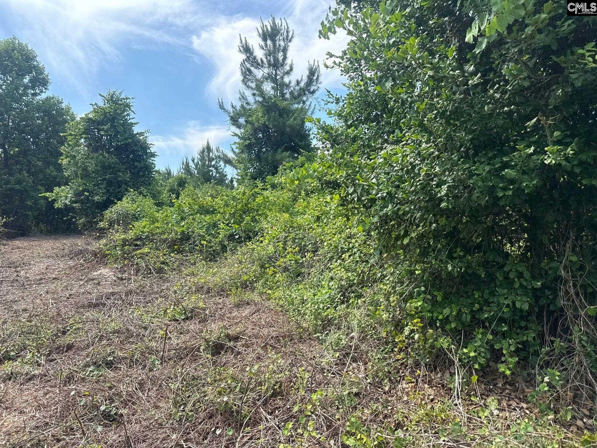 MPF 1 State Rd S-28-31 Road UNIT MPF 1 Jefferson, SC 29718