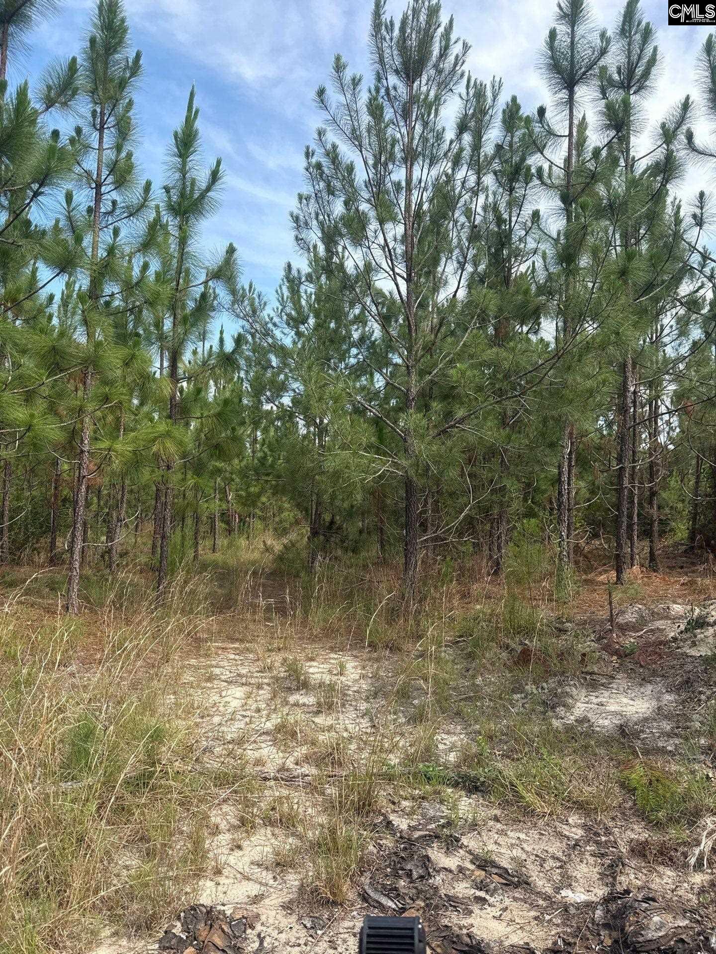 MPF 1 State Rd S-28-31 Road UNIT MPF 1 Jefferson, SC 29718