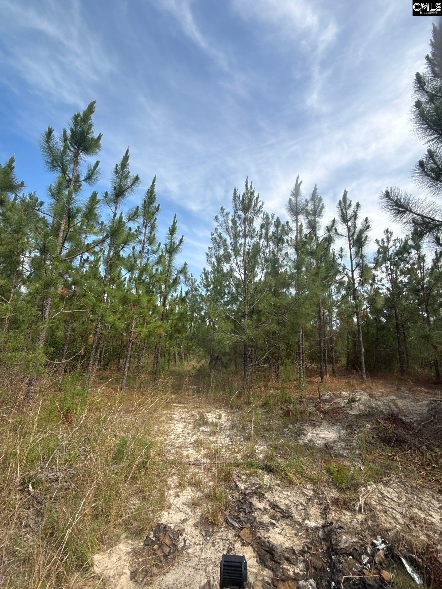MPF 1 State Rd S-28-31 Road UNIT MPF 1 Jefferson, SC 29718