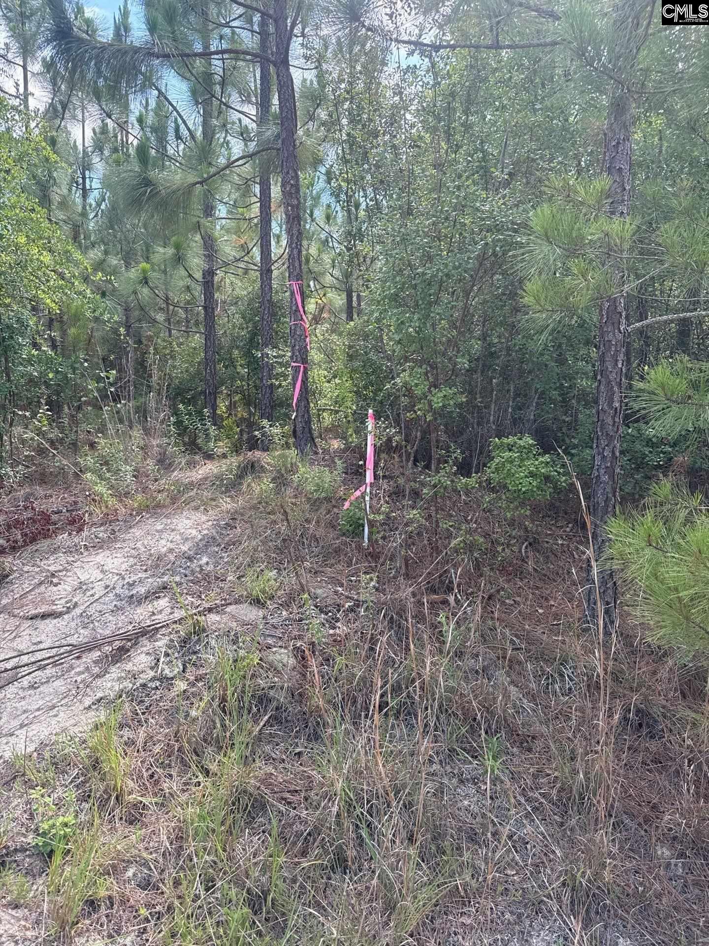 MPF 1 State Rd S-28-31 Road UNIT MPF 1 Jefferson, SC 29718