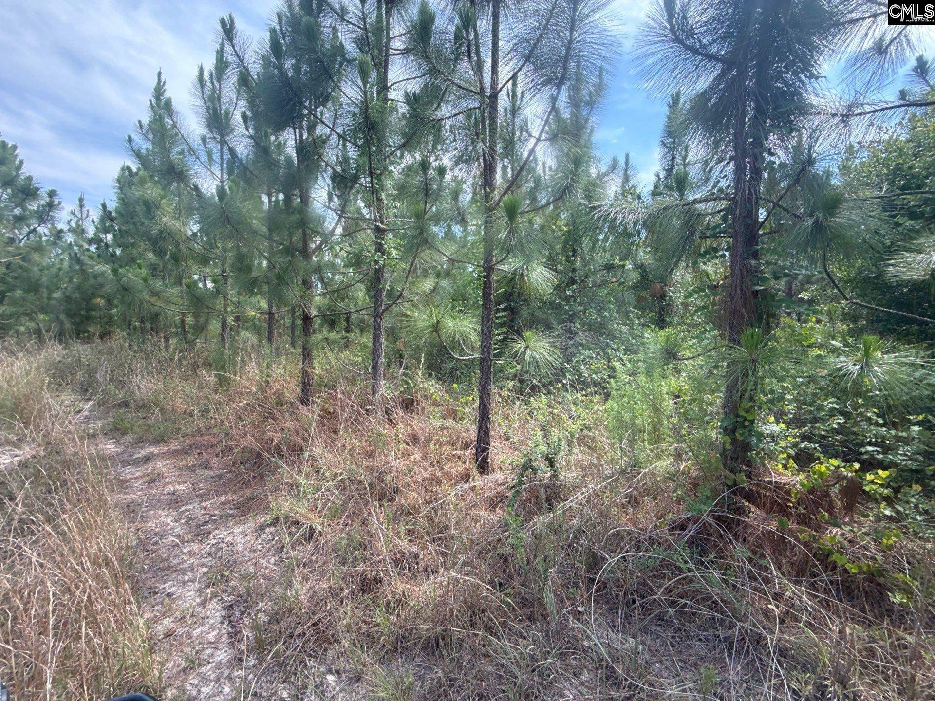 MPF 1 State Rd S-28-31 Road UNIT MPF 1 Jefferson, SC 29718