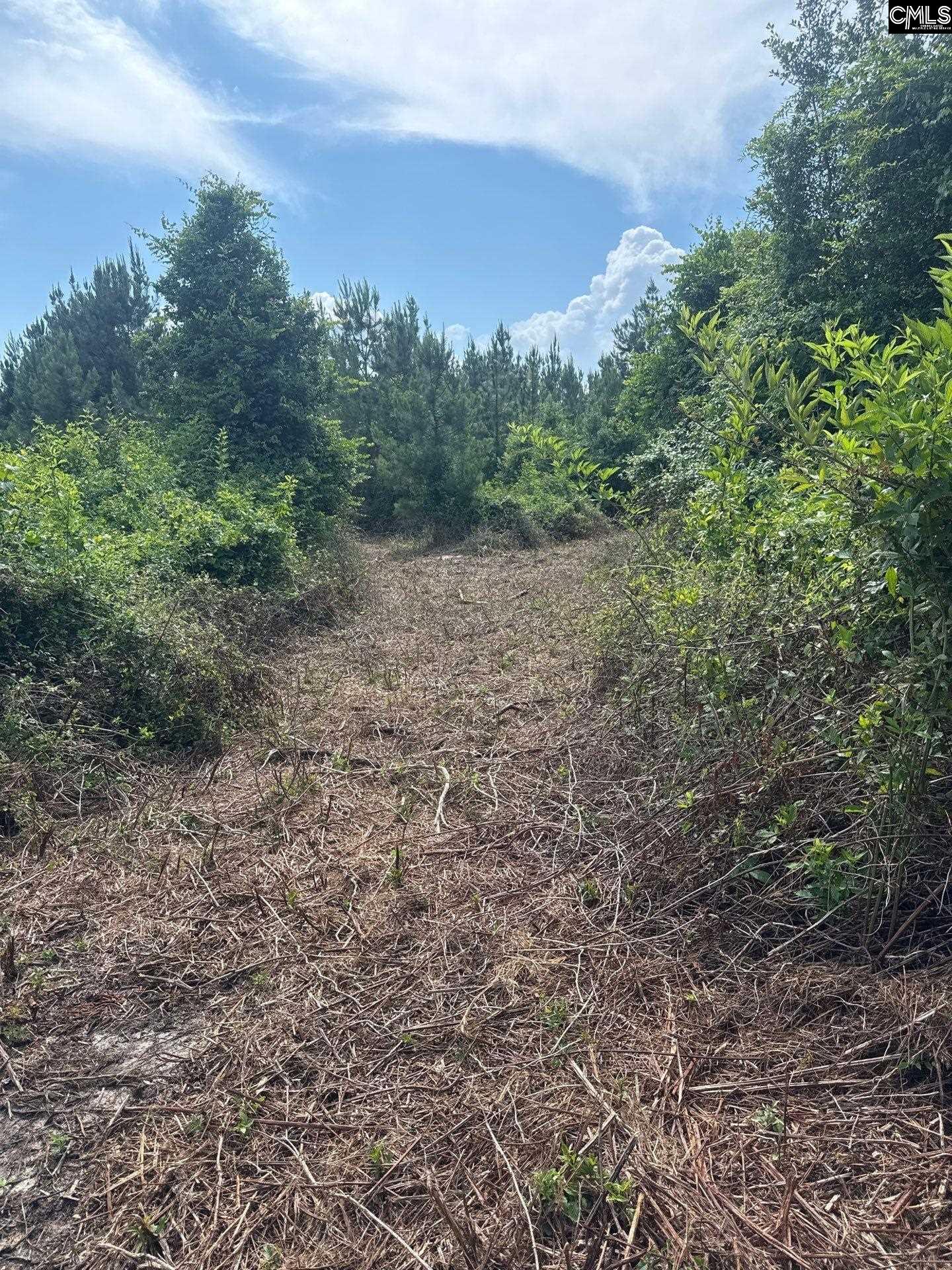 MPF 1 State Rd S-28-31 Road UNIT MPF 1 Jefferson, SC 29718