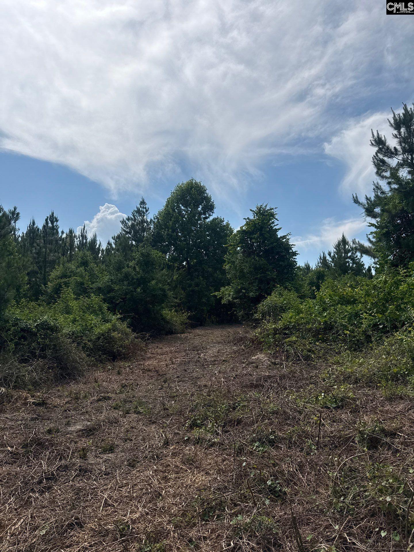 MPF 1 State Rd S-28-31 Road UNIT MPF 1 Jefferson, SC 29718