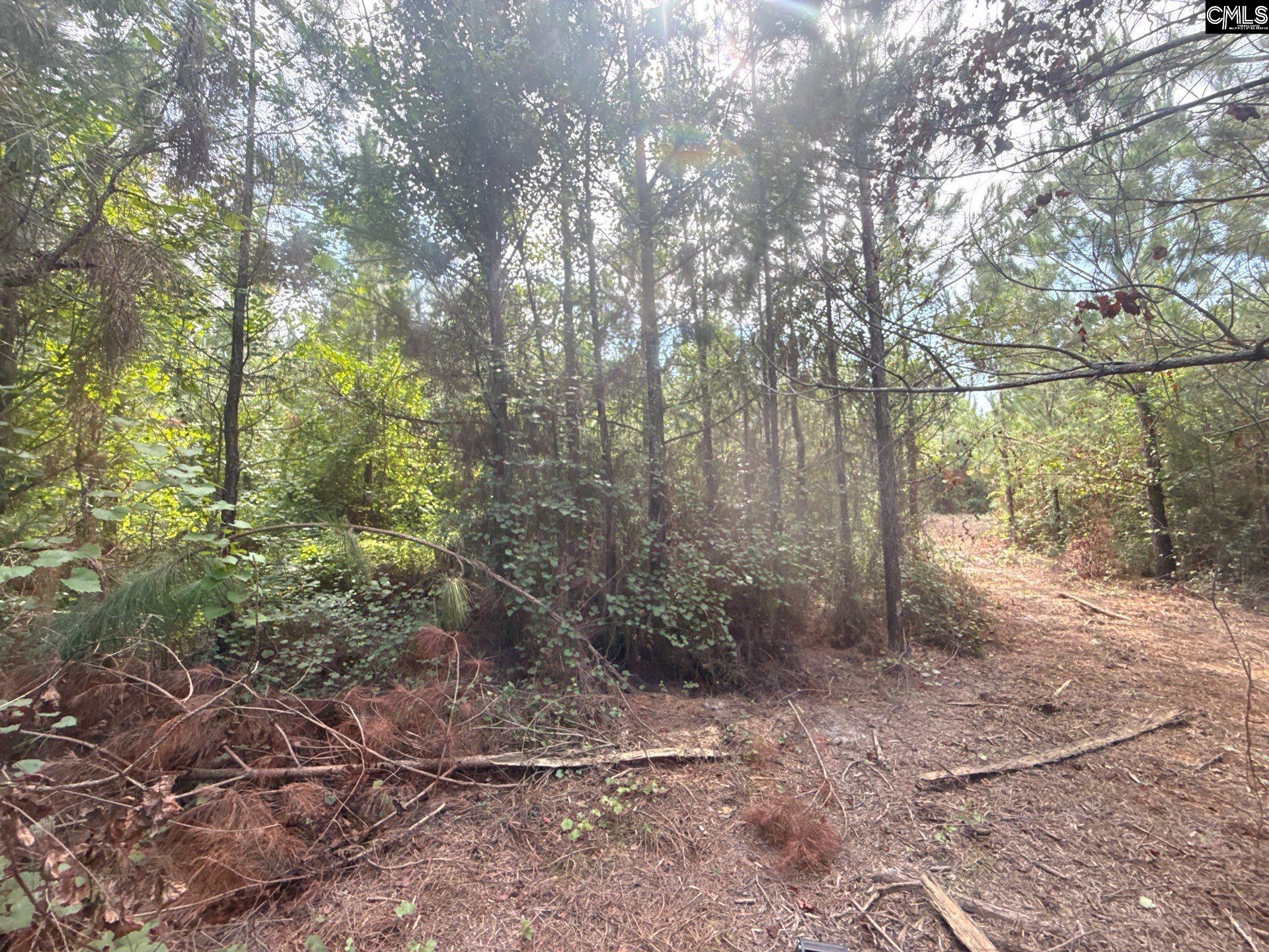 MPF 2 State Rd S-28-31 Road UNIT MPF 2 Jefferson, SC 29718